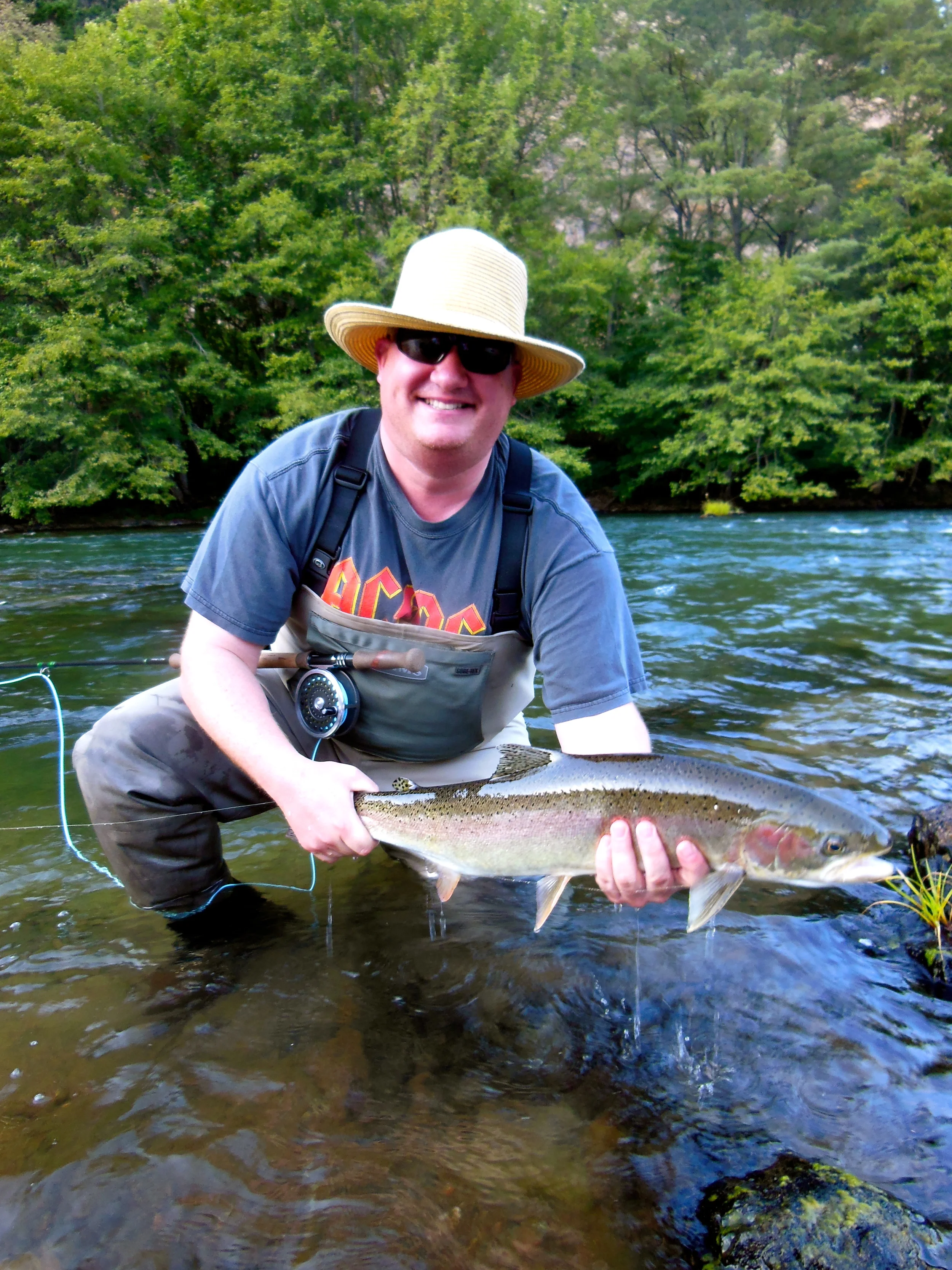 North Umpqua steelhead