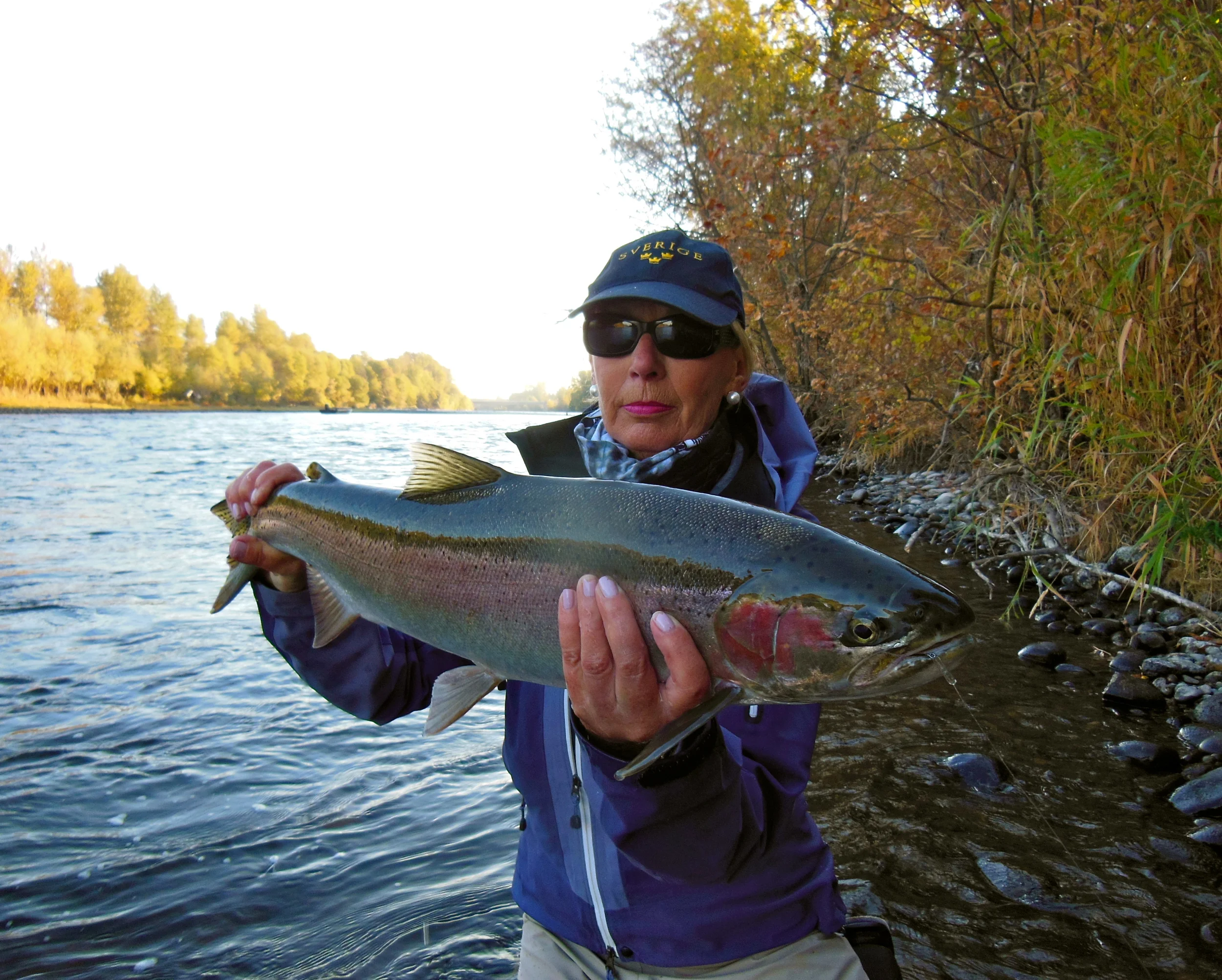 Rogue River steelhead