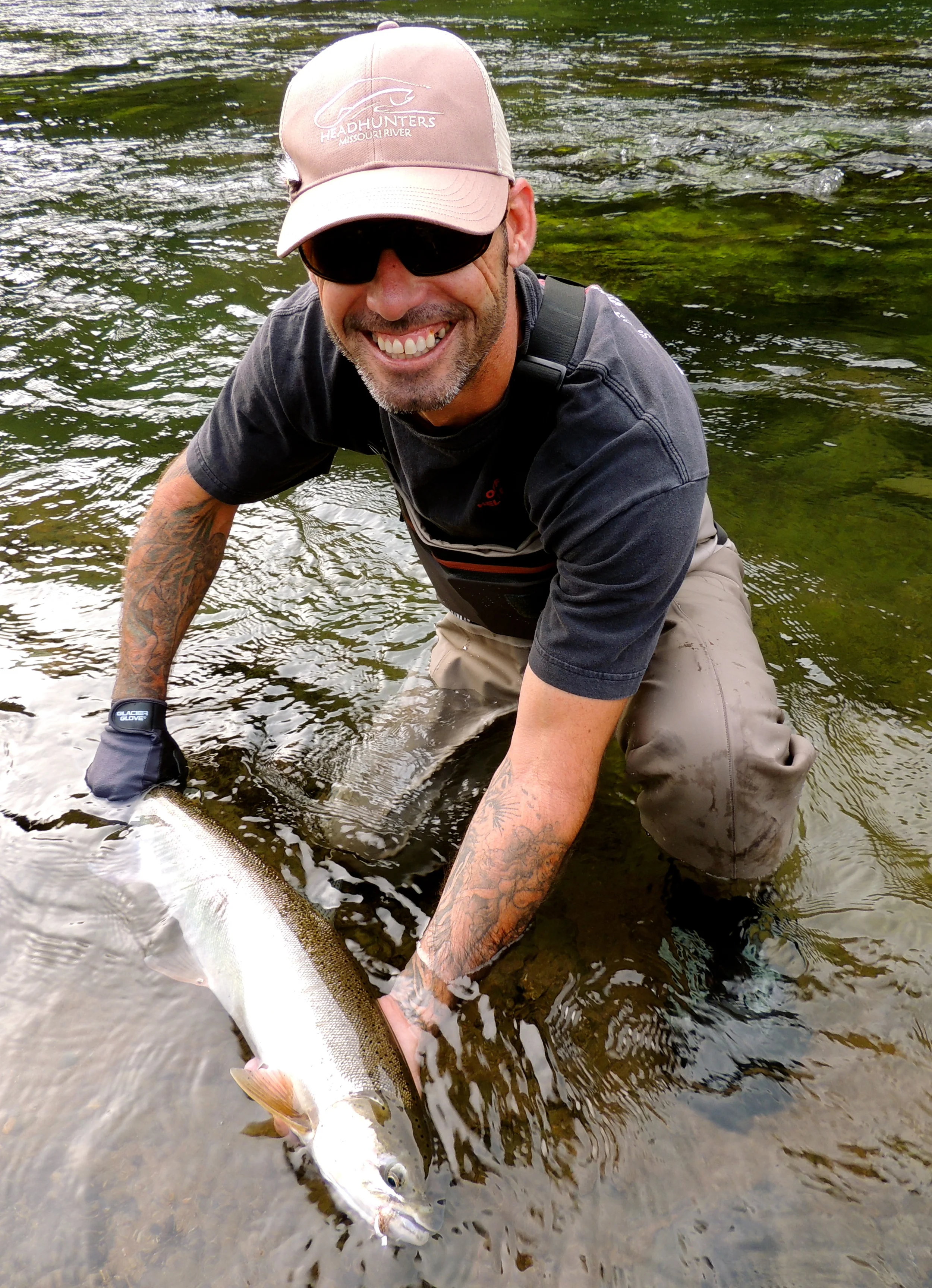 North Umpqua steelhead