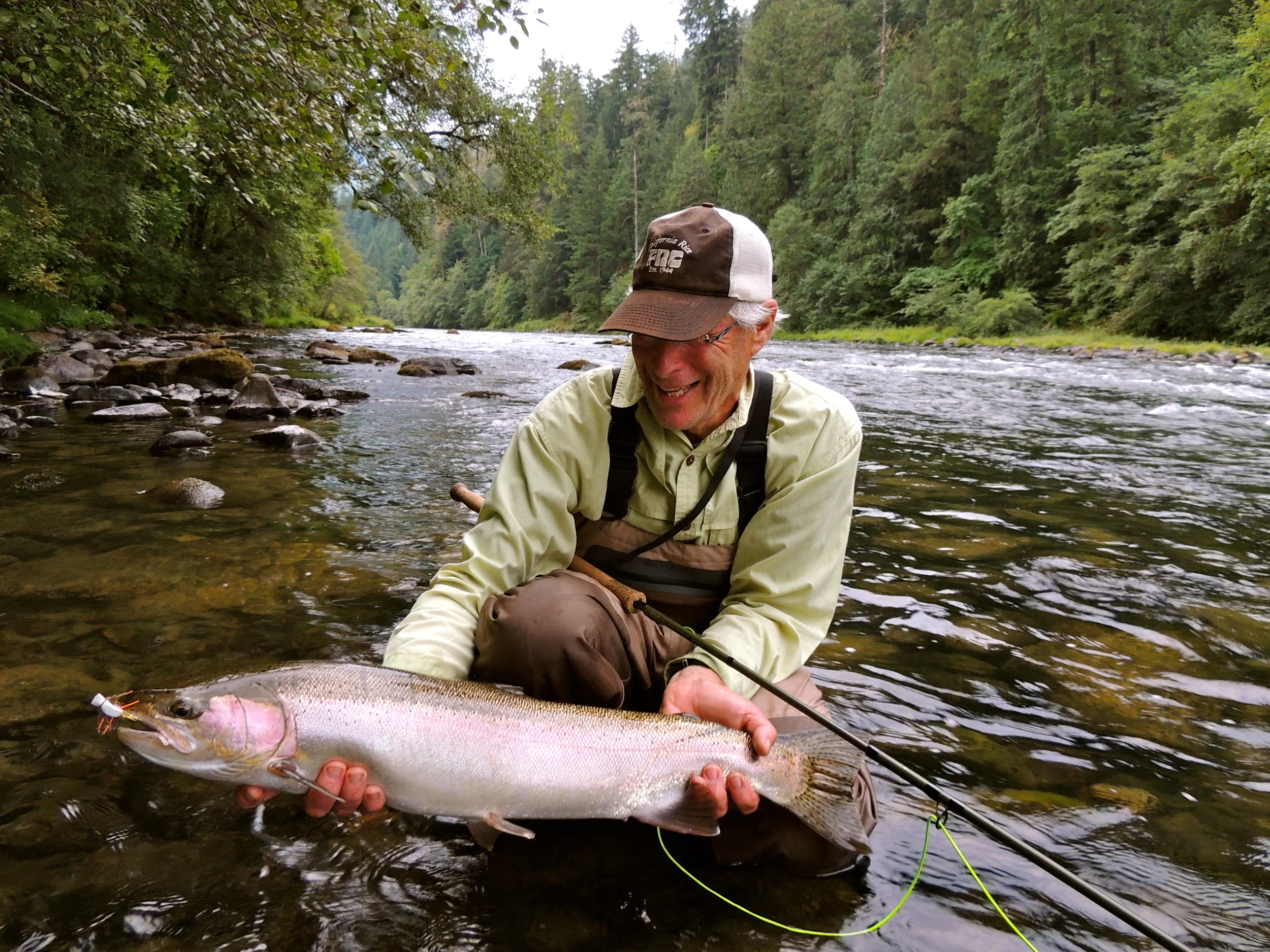 North Umpqua steelhead