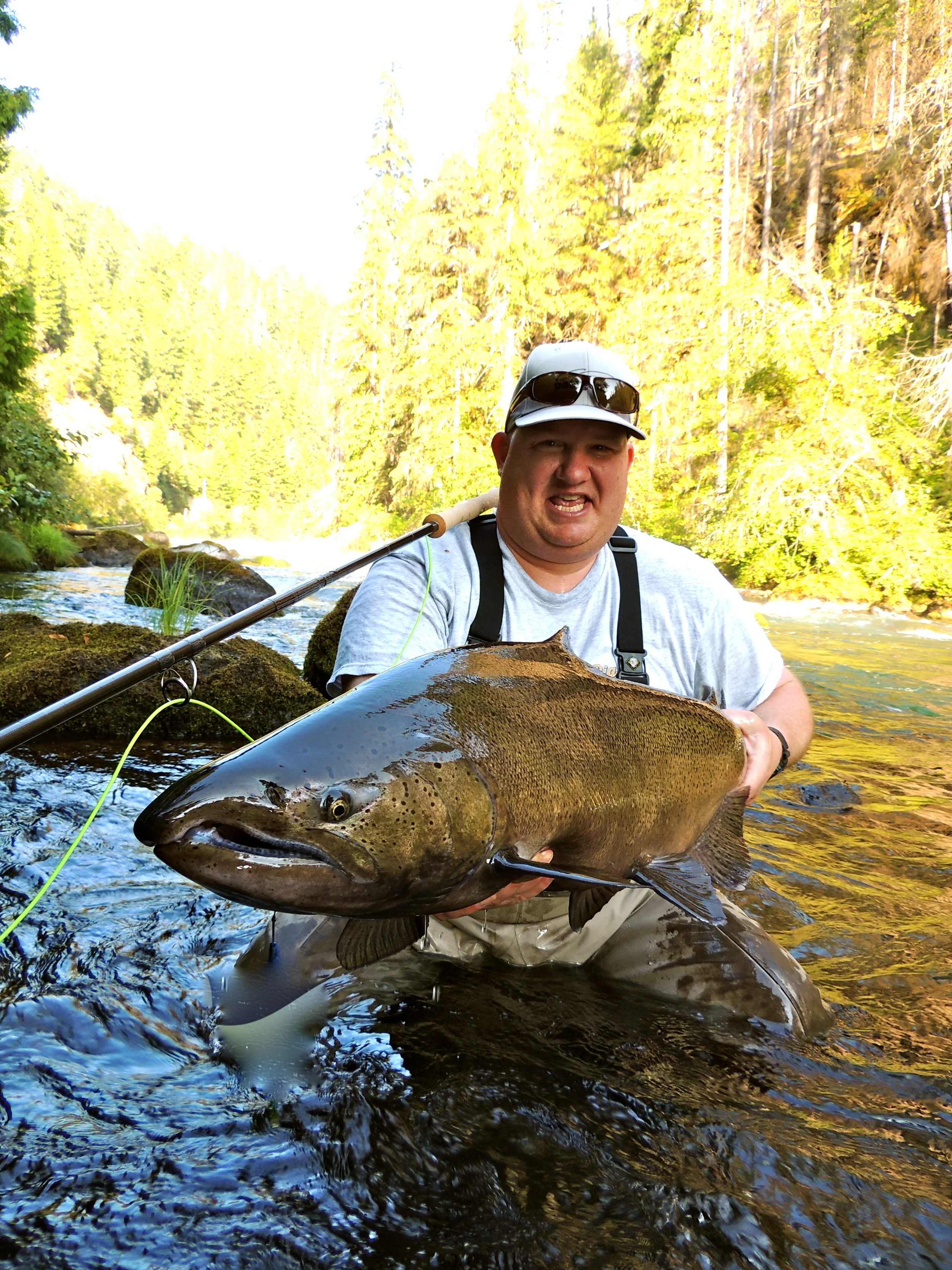  Guided fly fishing trips with Steelhead Water's Rich Zellman on the North Umpqua, Trinity, and Smith rivers. 