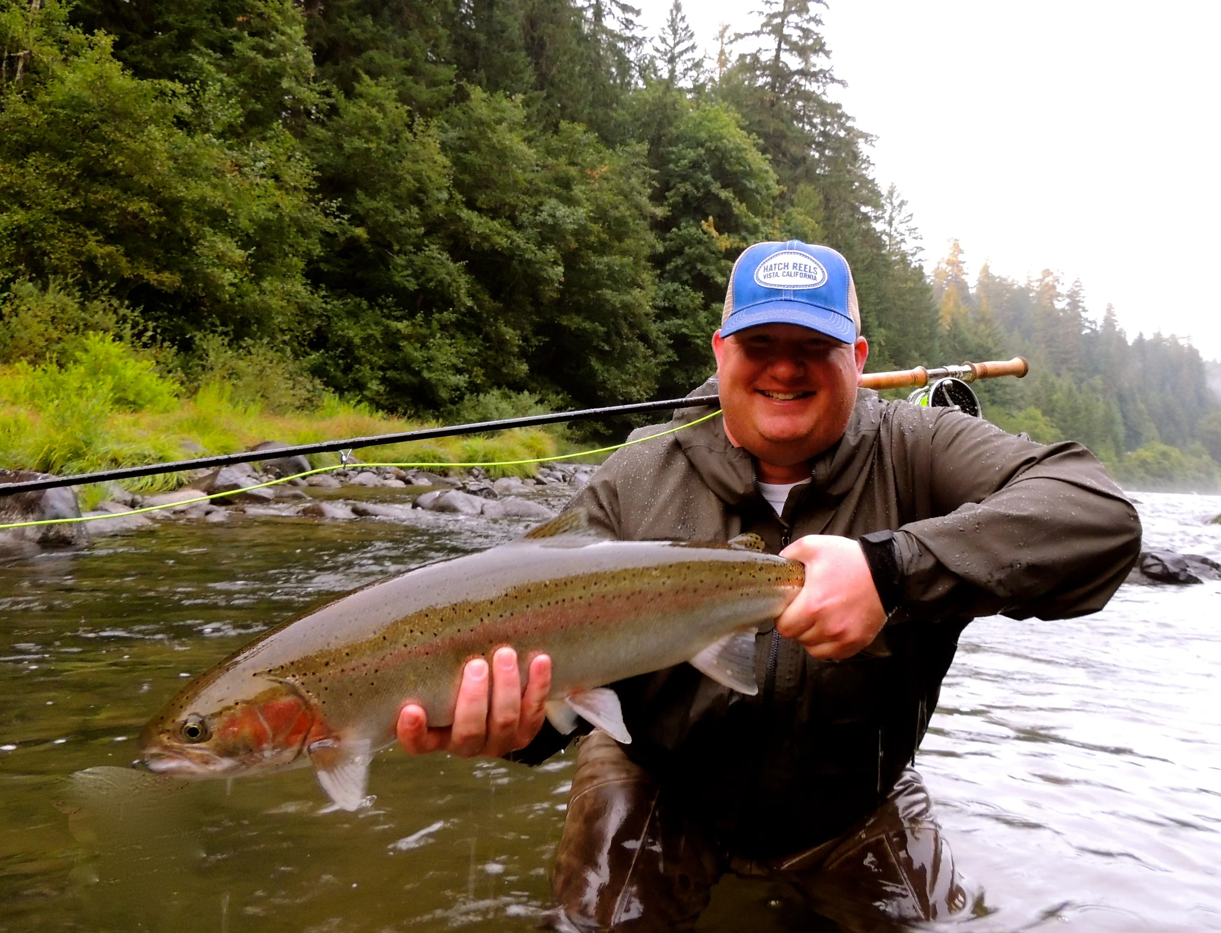 North Umpqua steelhead