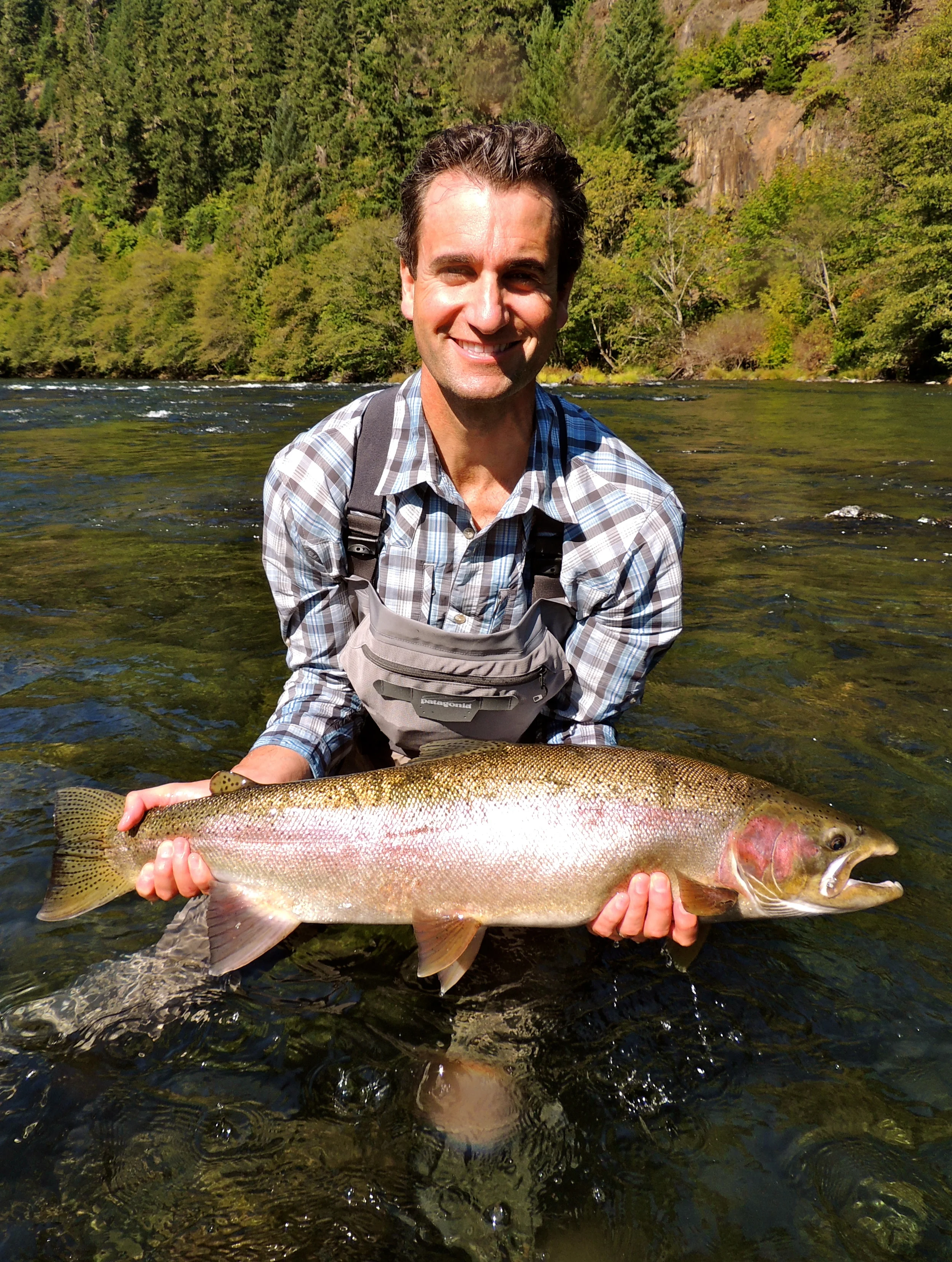 North Umpqua steelhead