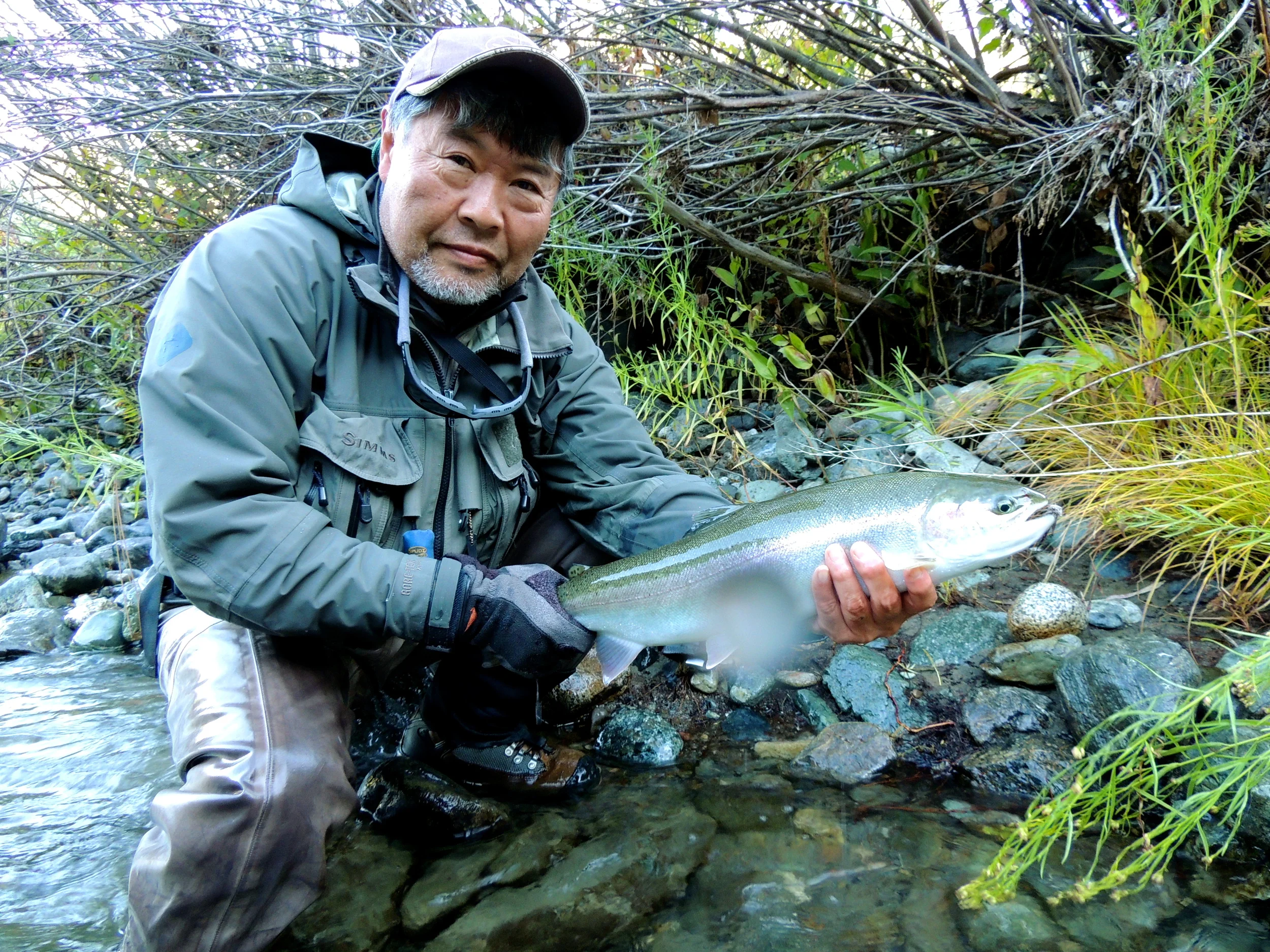 Trinity River steelhead