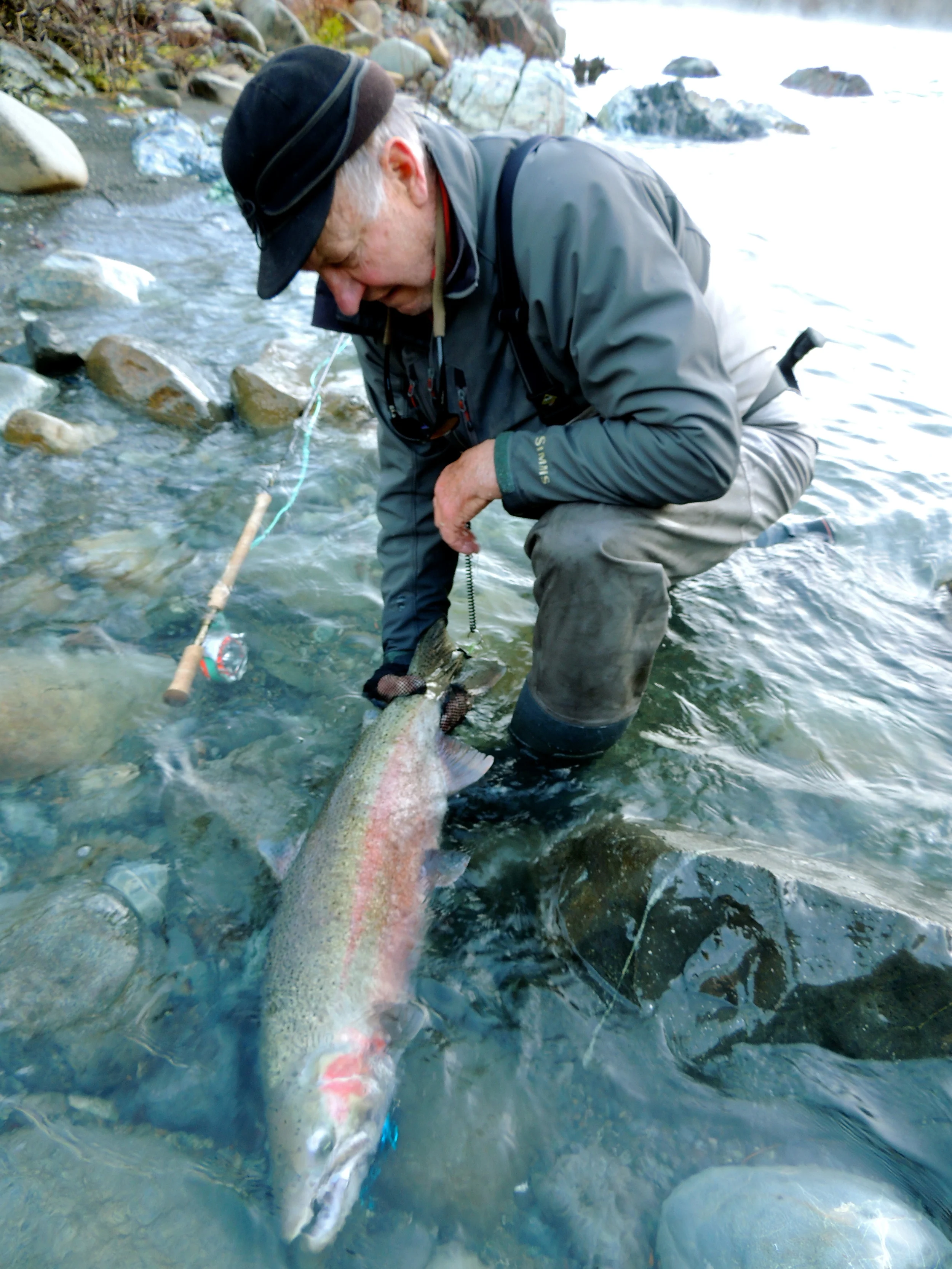 Smith River steelhead