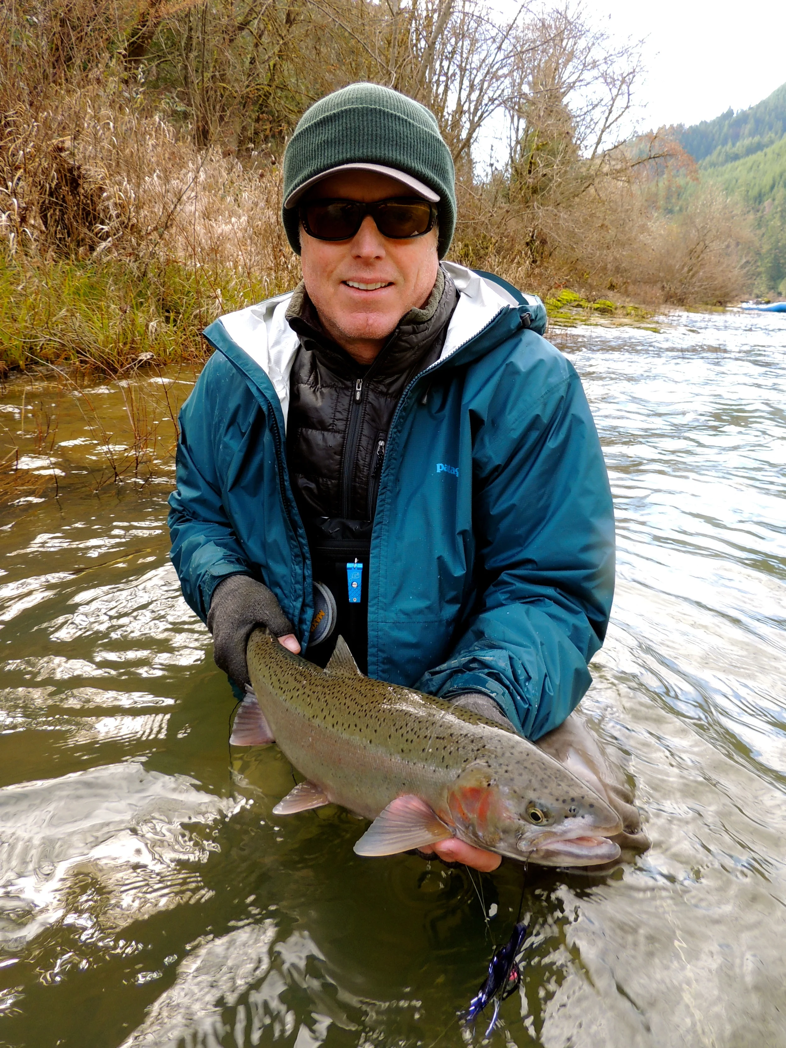 North Umpqua steelhead