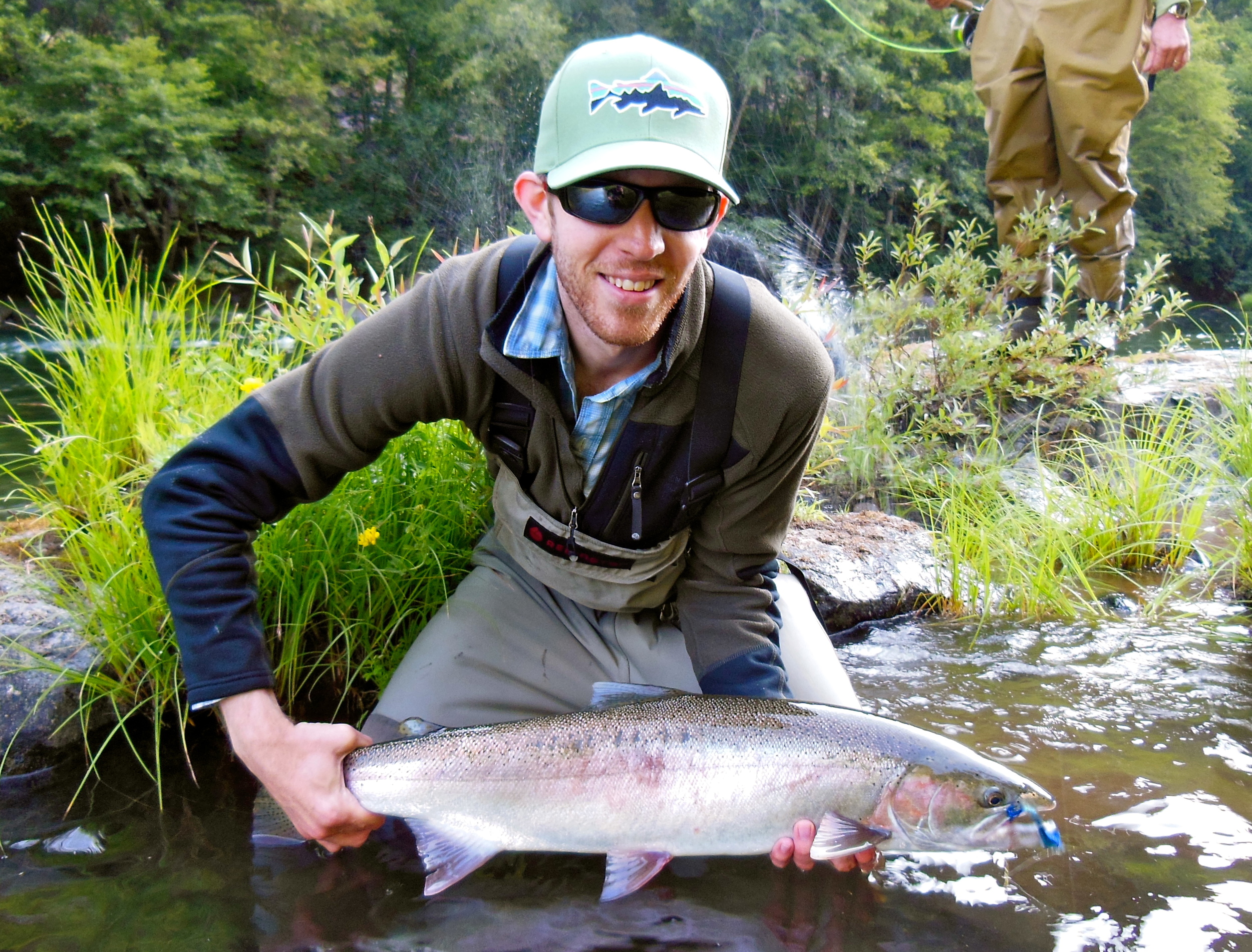 North Umpqua steelhead