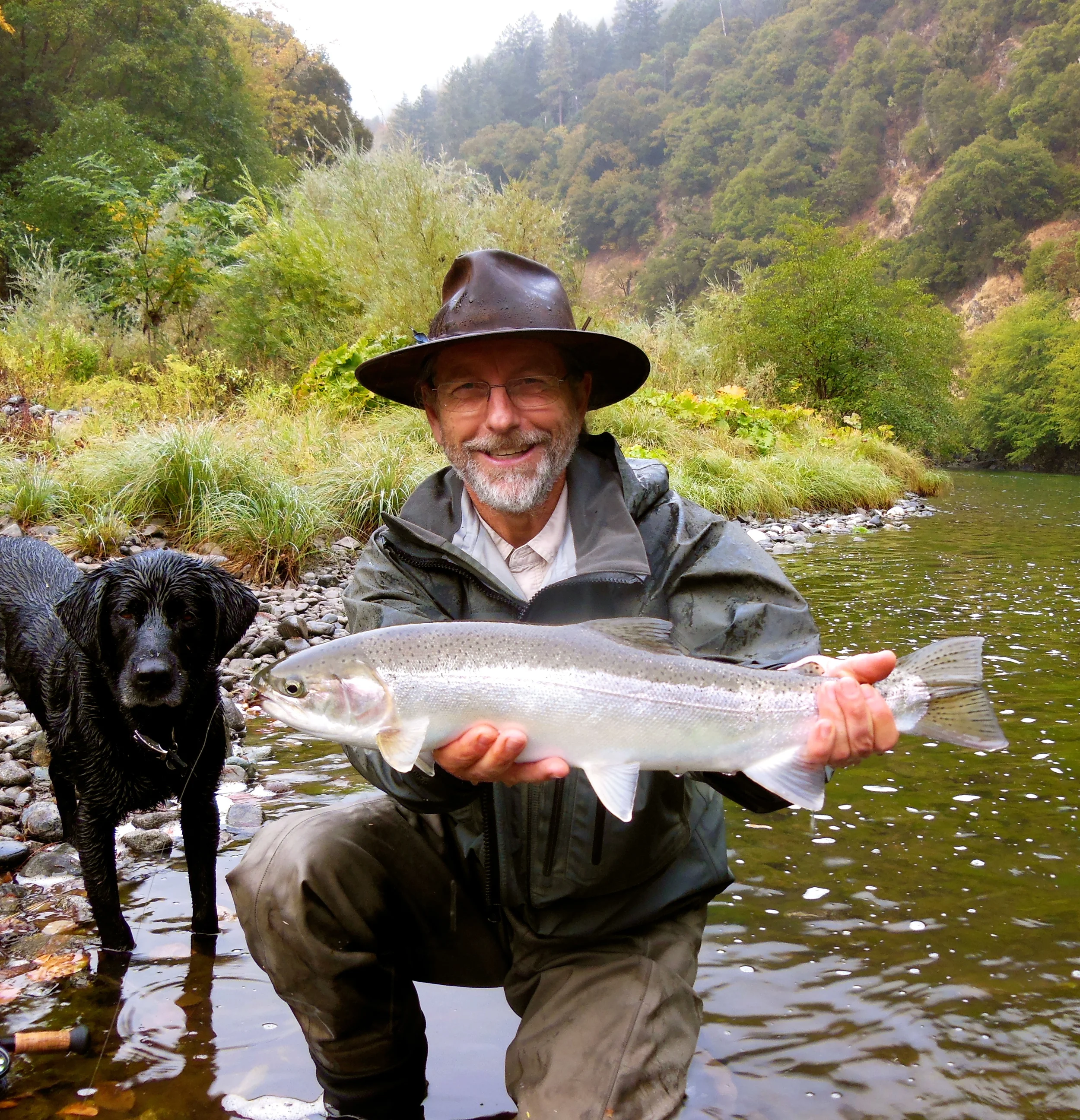 Trinity River steelhead