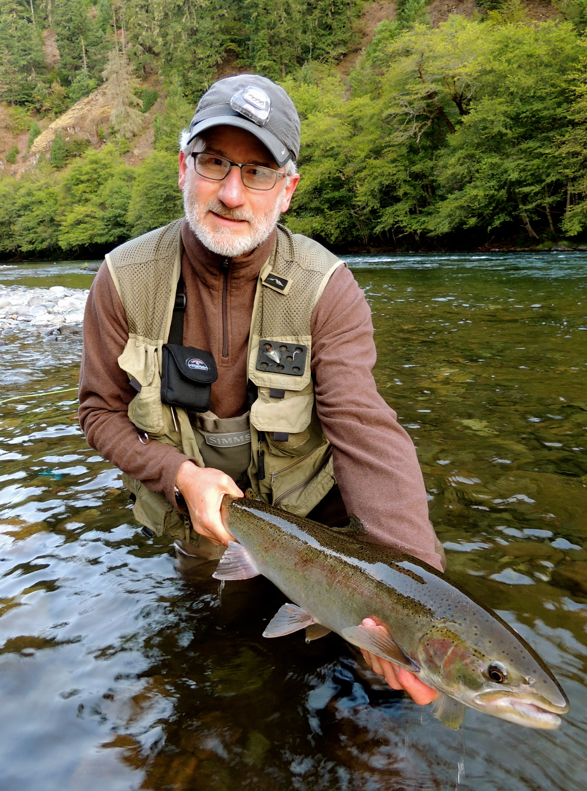 Steelhead