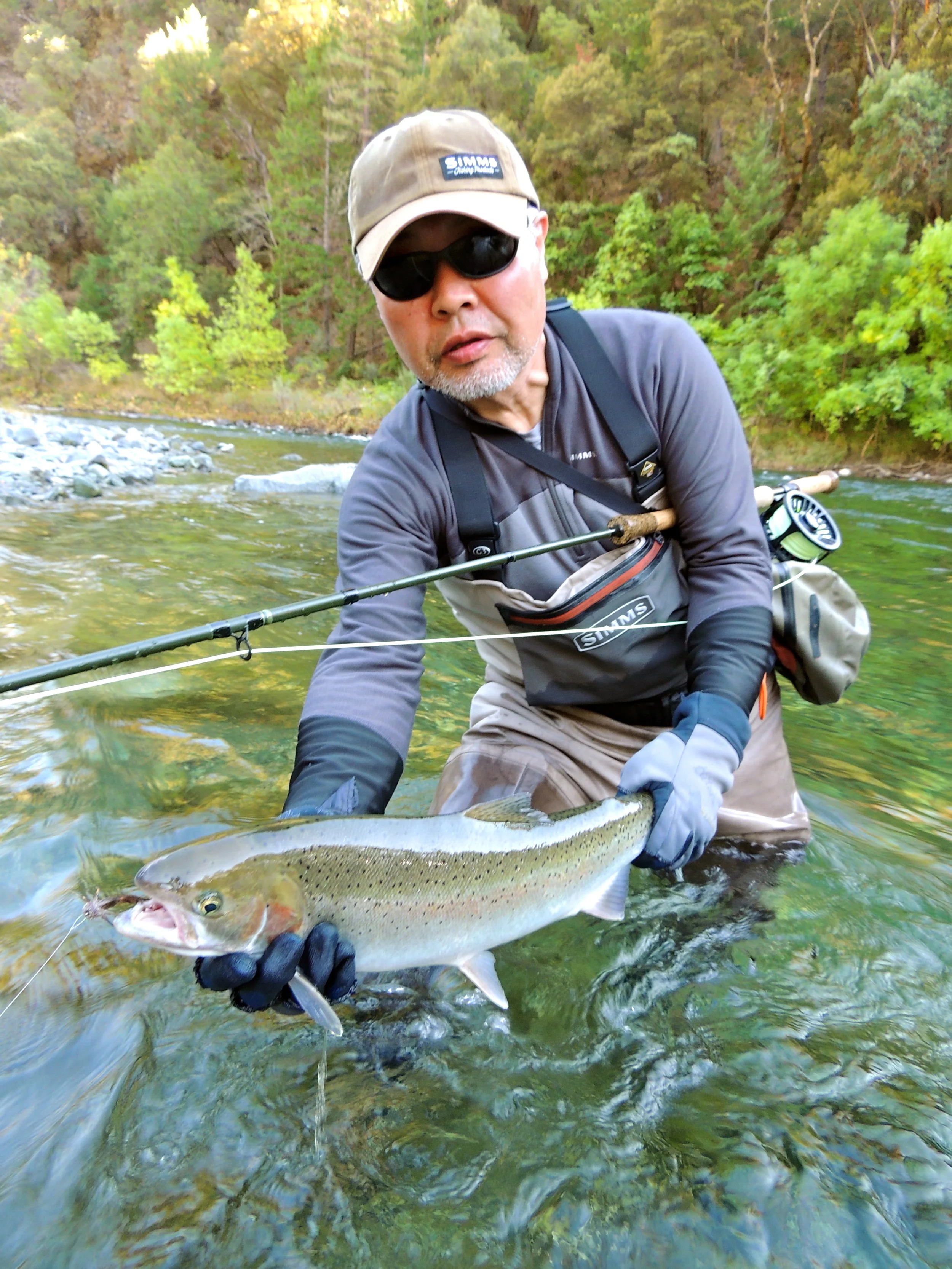 Trinity River steelhead