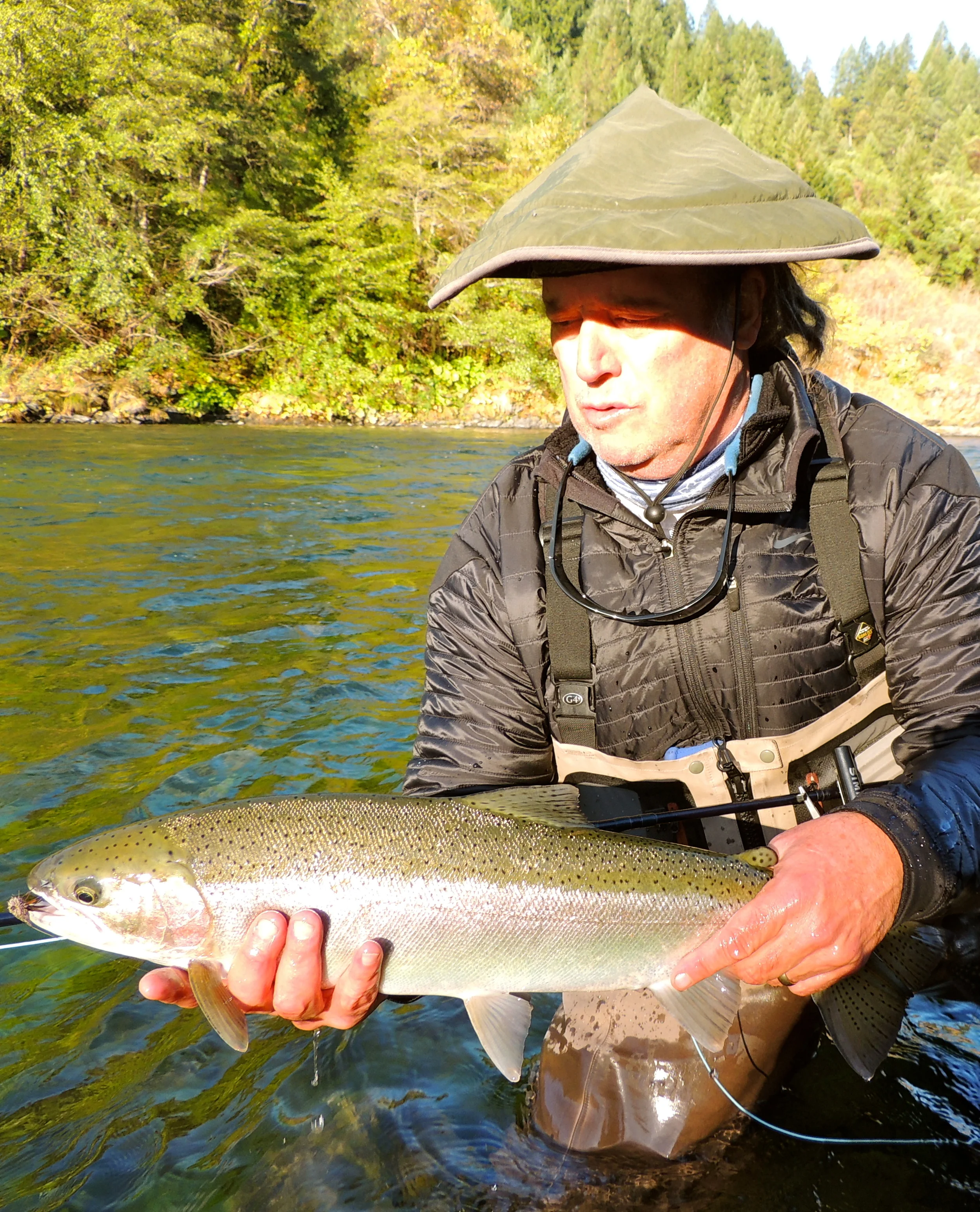Trinity River steelhead