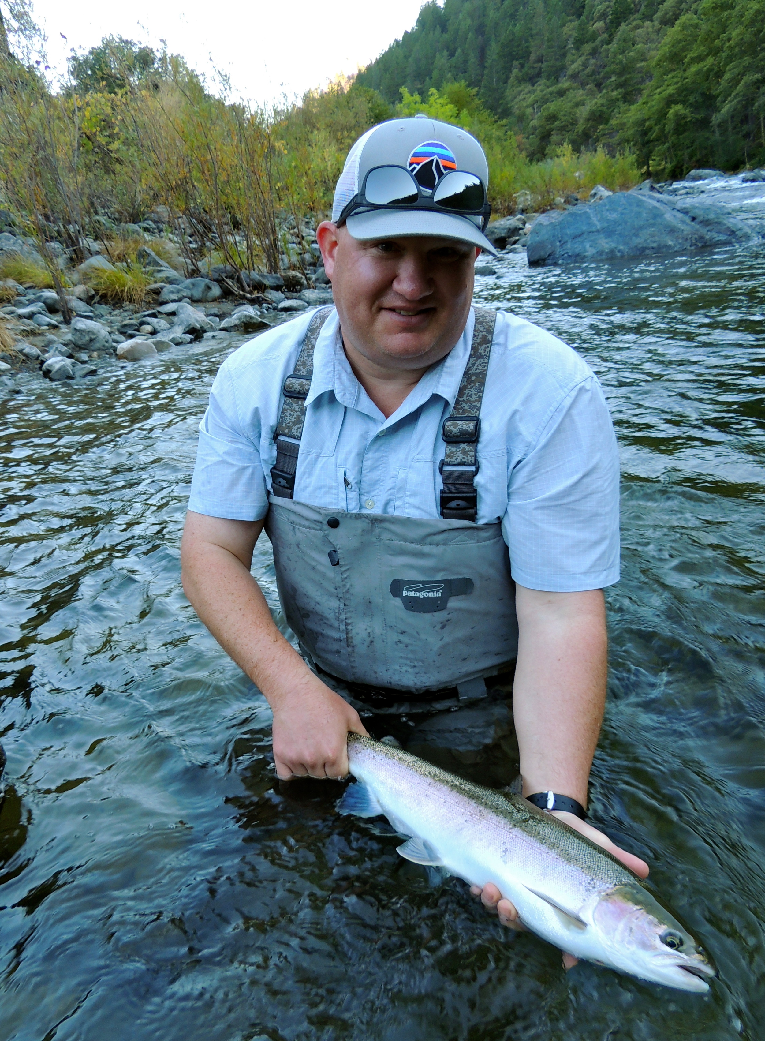 Trinity River steelhead