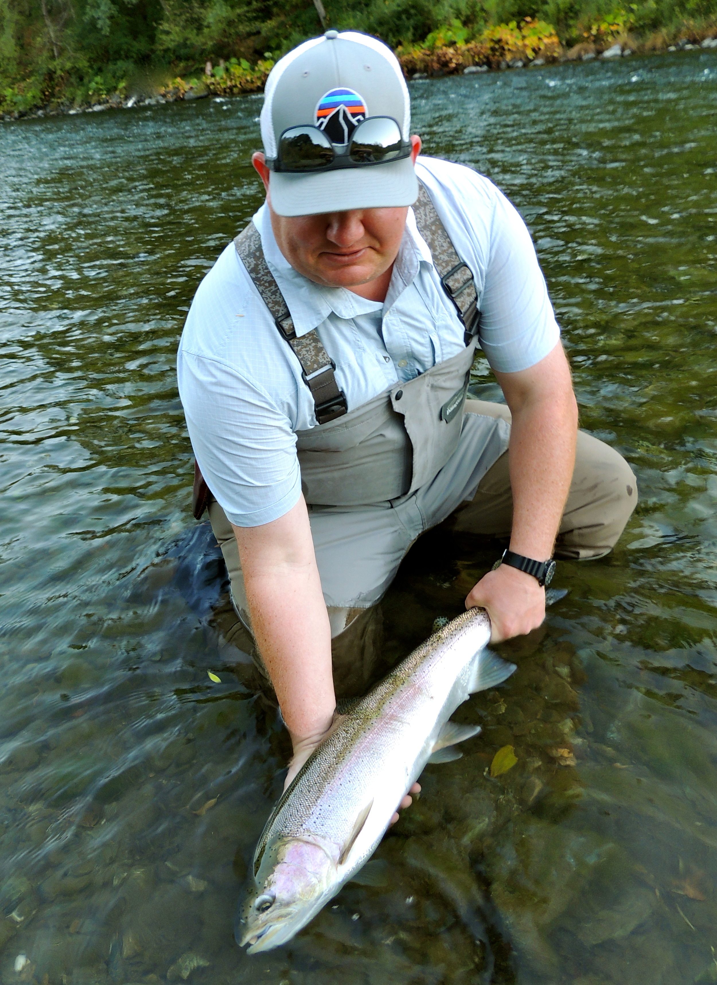 Trinity River steelhead