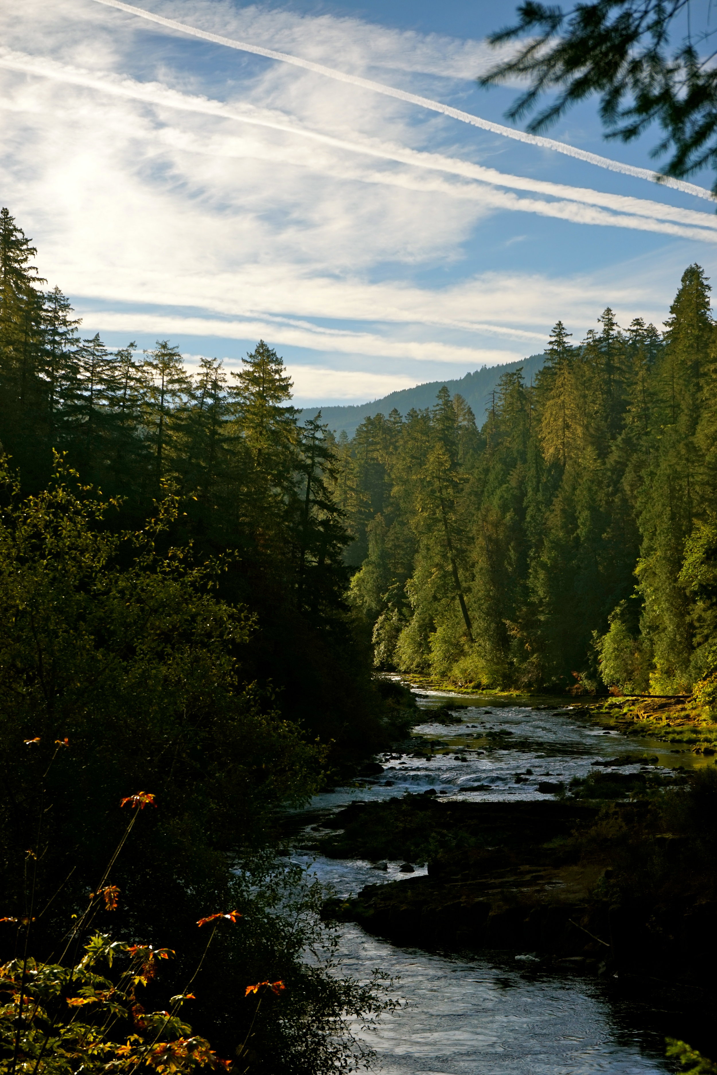 Beautiful river