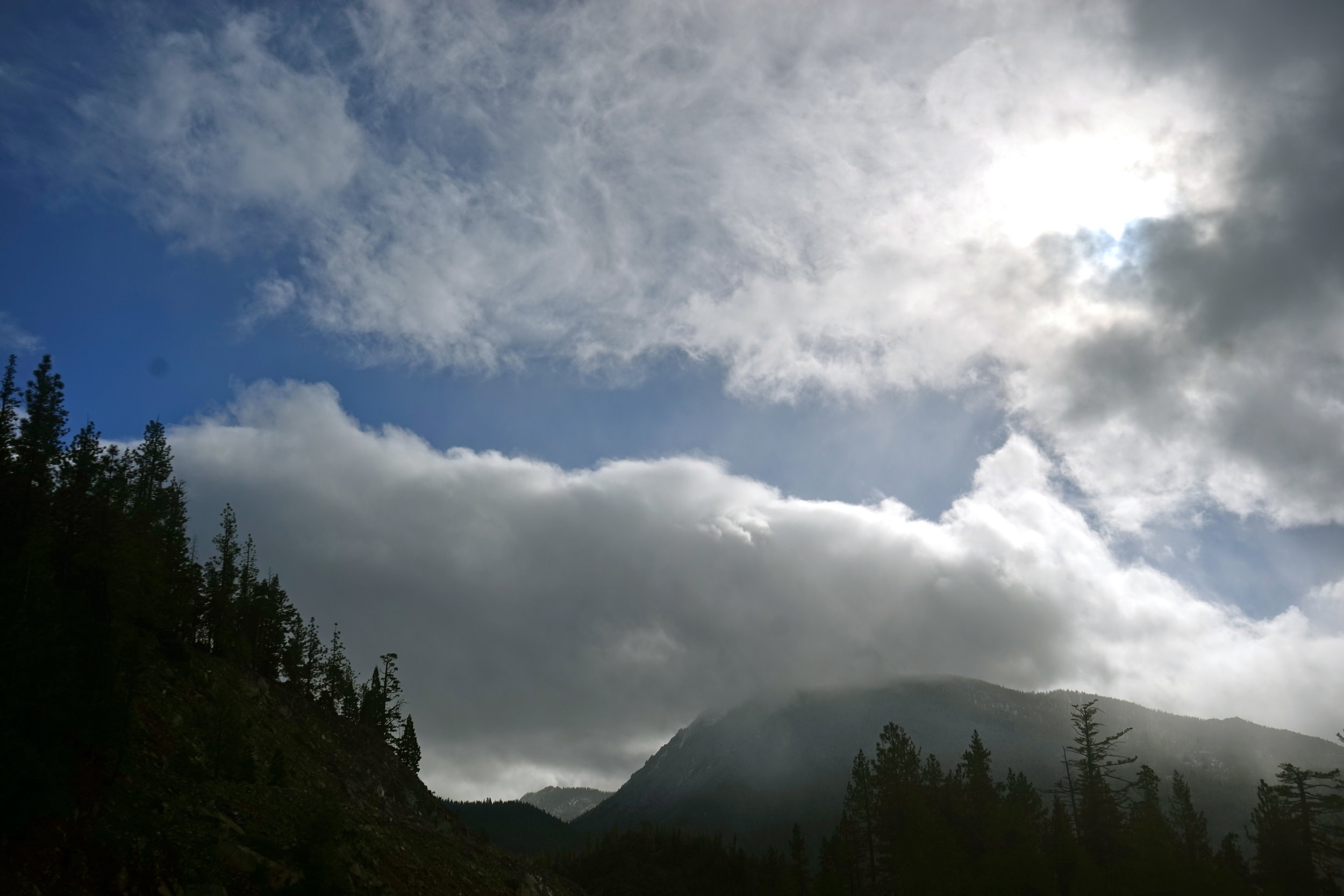 First dusting