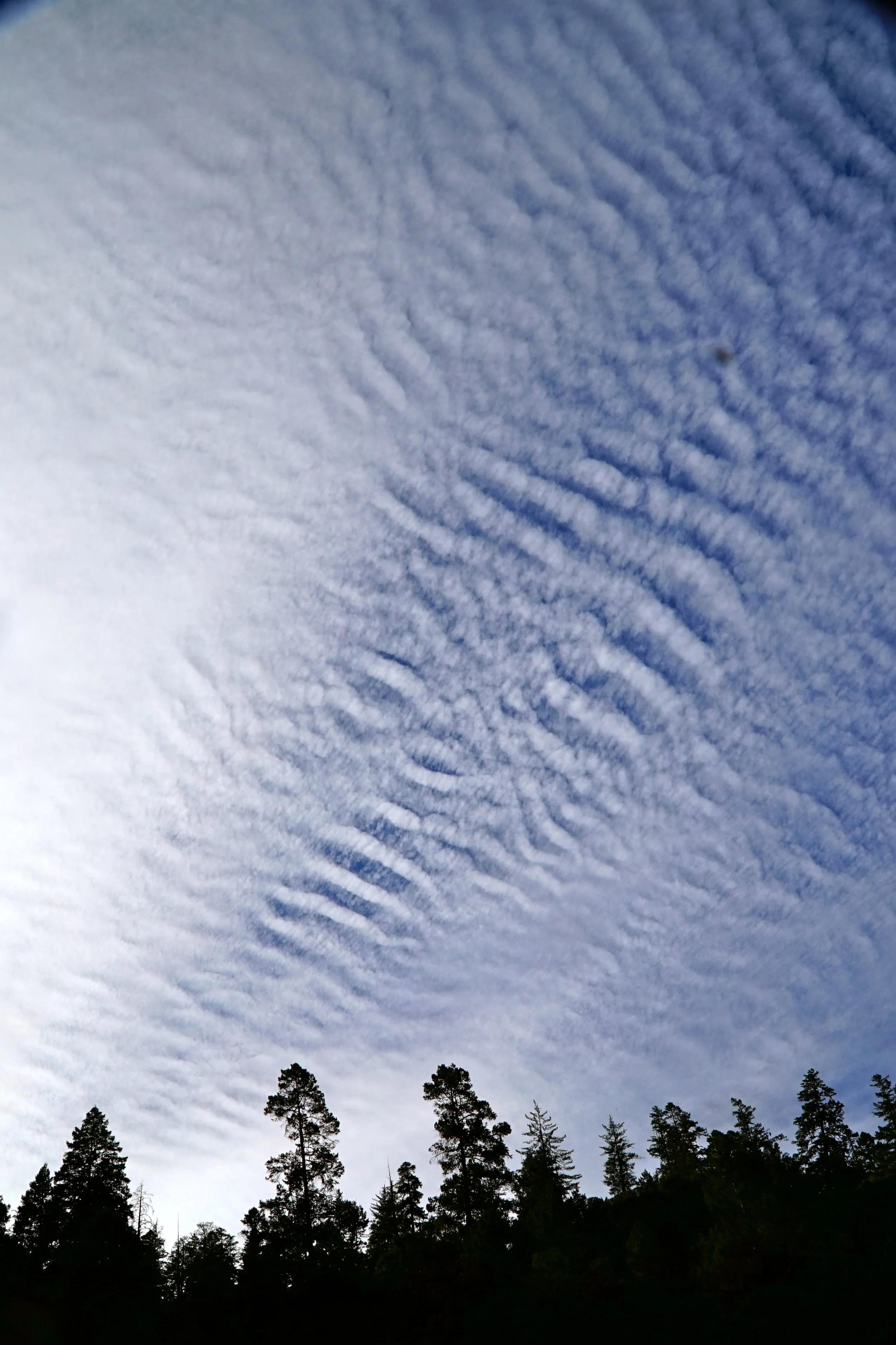 Clouds