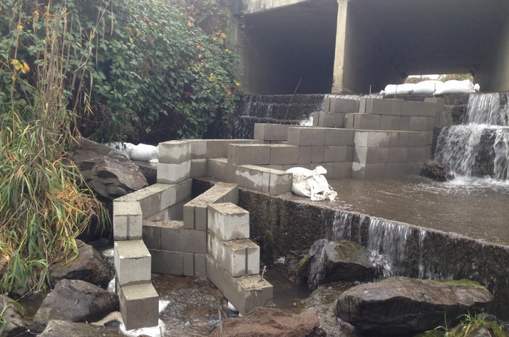 Jackson Creek fish ladder