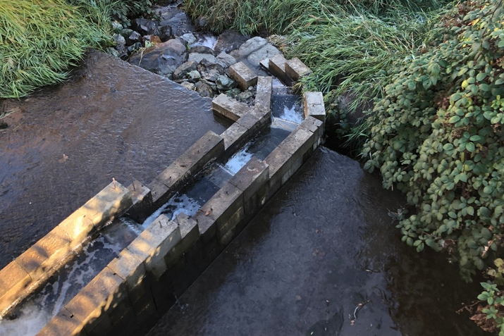 Flowing, opening up water to salmonids they haven’t had access to for 50 years