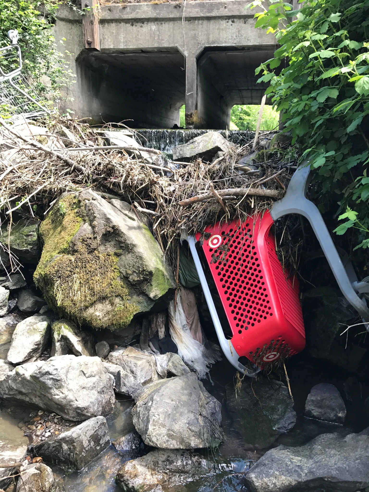 Residual high water trash barrier on Lone Pine Creek