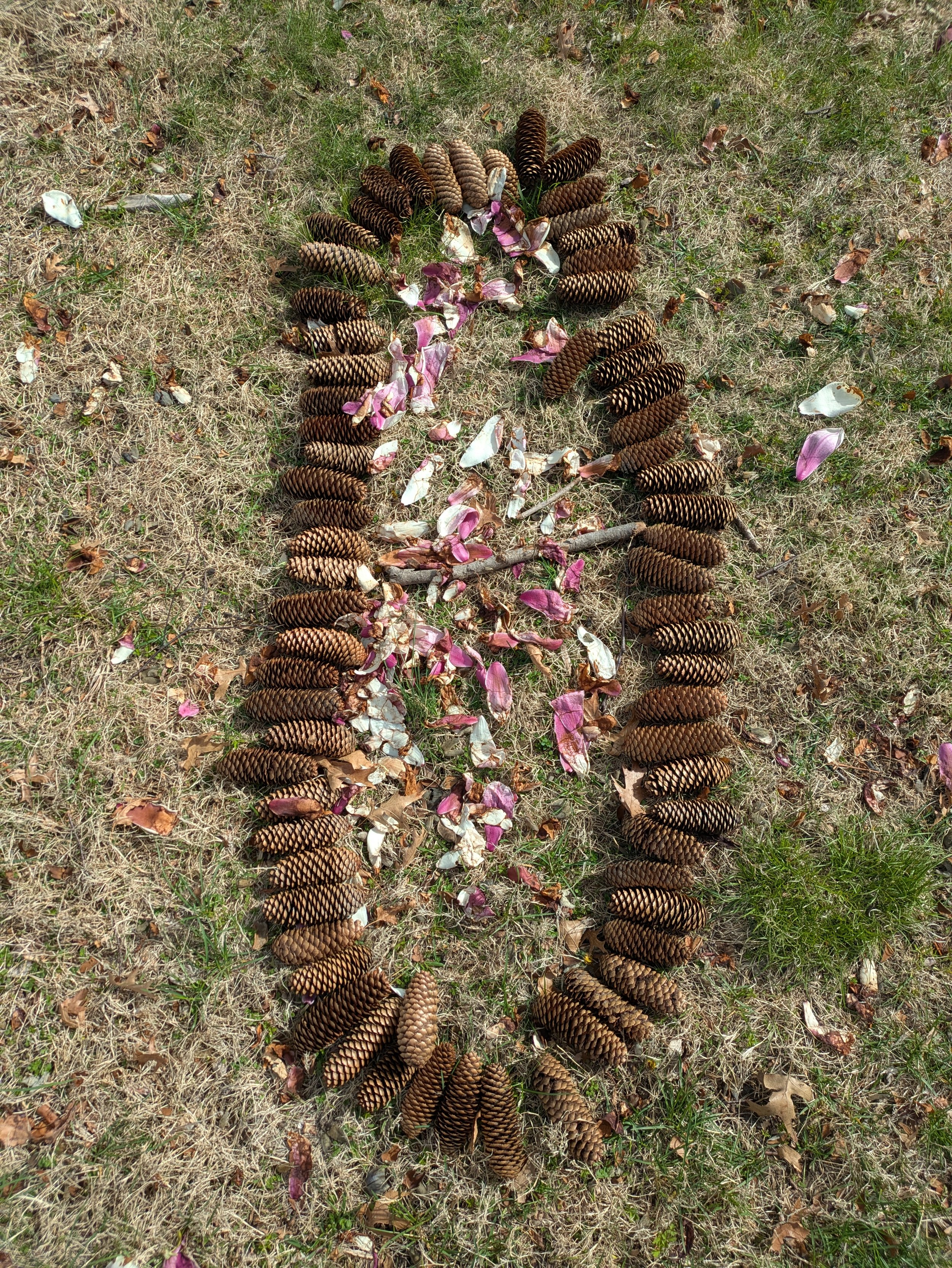PXL_20250420_134408347.jpg