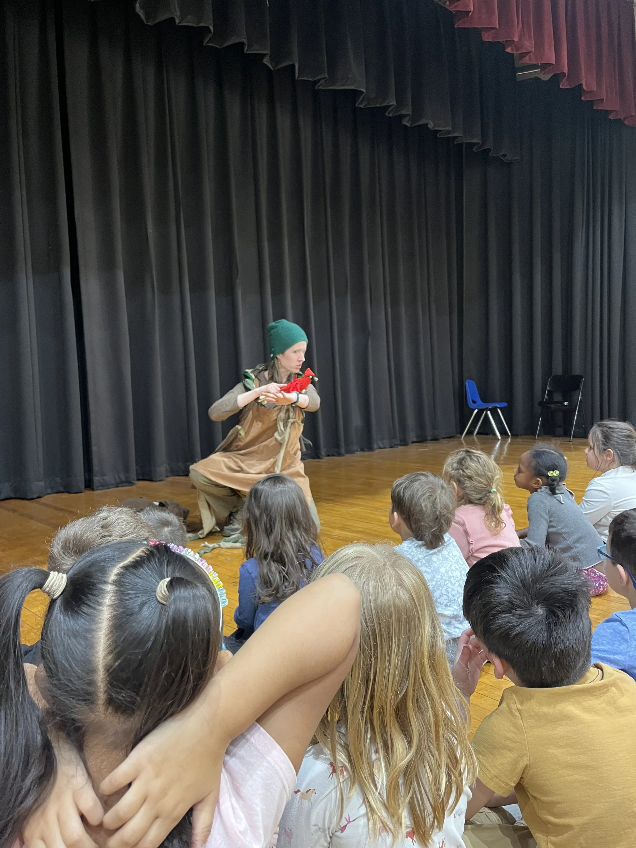 The Spruce and The Wind