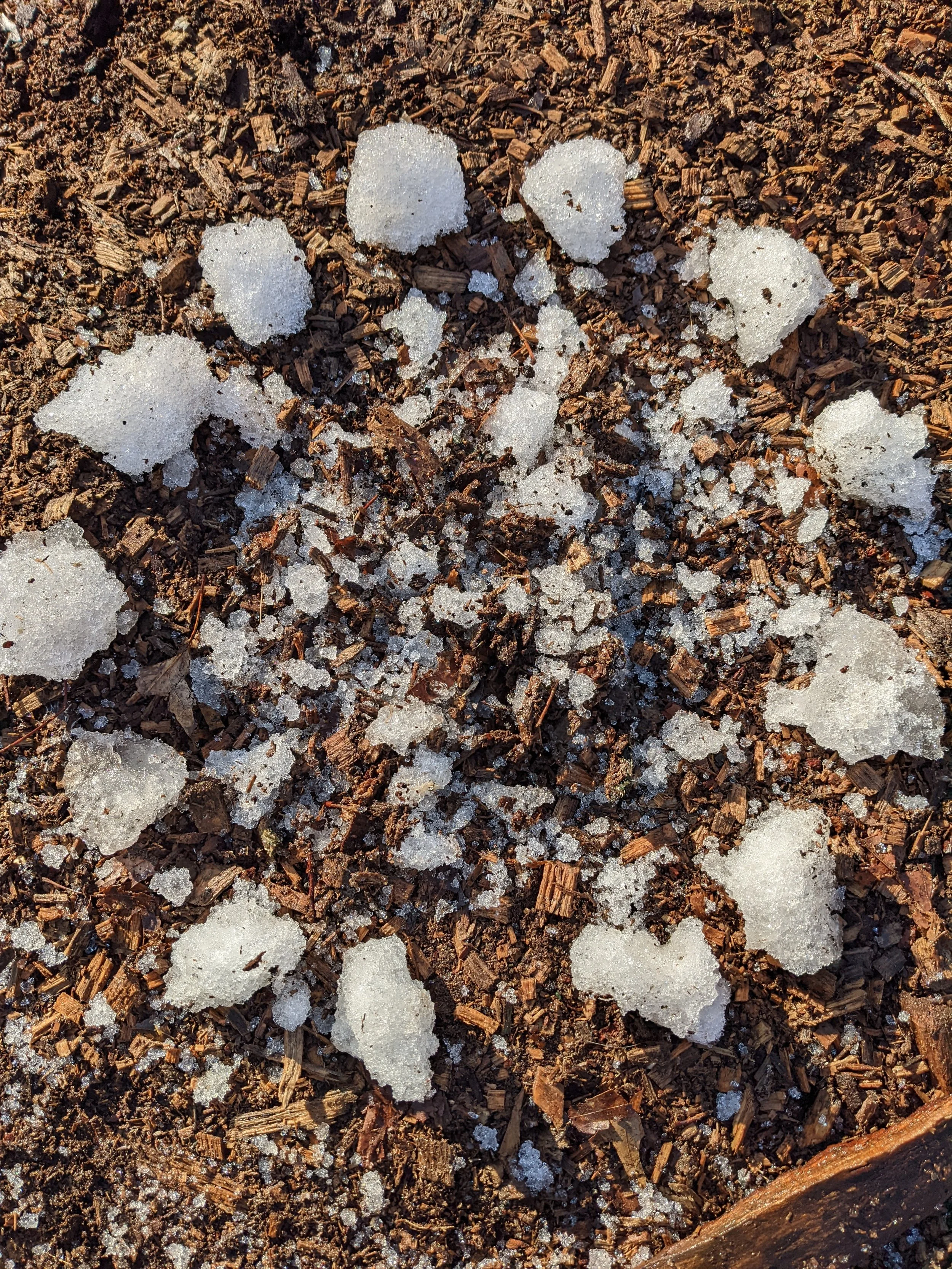 a winter offering
