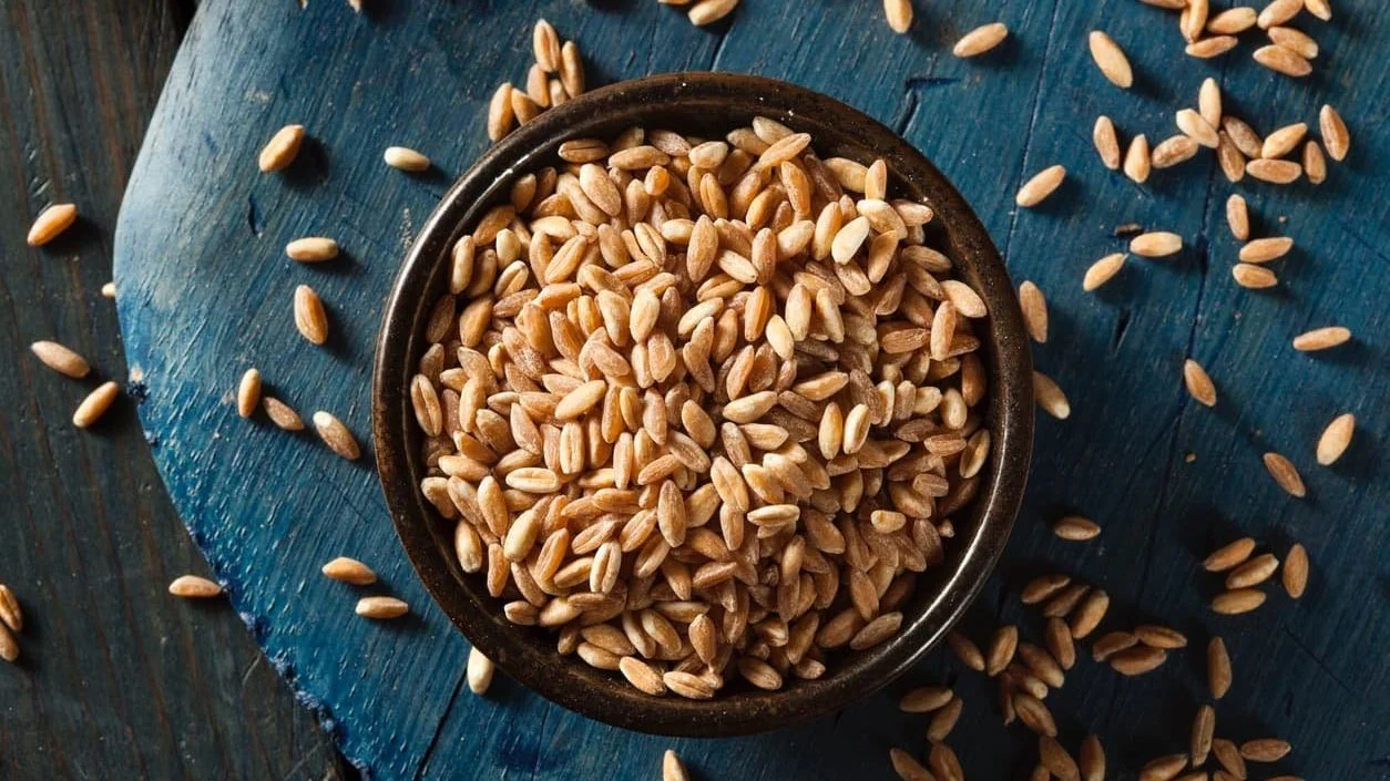 Farro Slow Cooker or Rice Cooker The Smart Slow Cooker