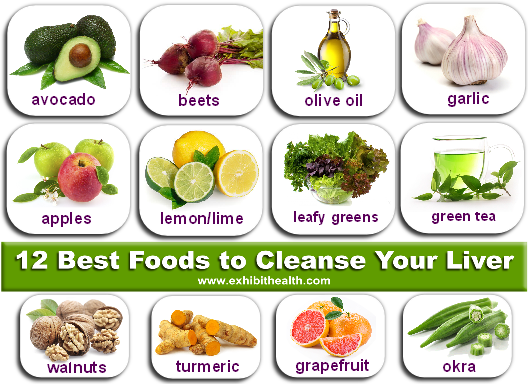 Liver- Processes toxins & Fats when healthy