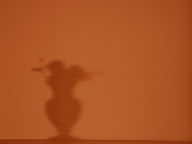 Catherine Wagner, Musings on Morandi: Still Lifes and Shadows (017), 2015, Archival pigment print mounted on aluminum, 37” x 49 3/4” Courtesy Anglim Gilbert Gallery San Francisco
