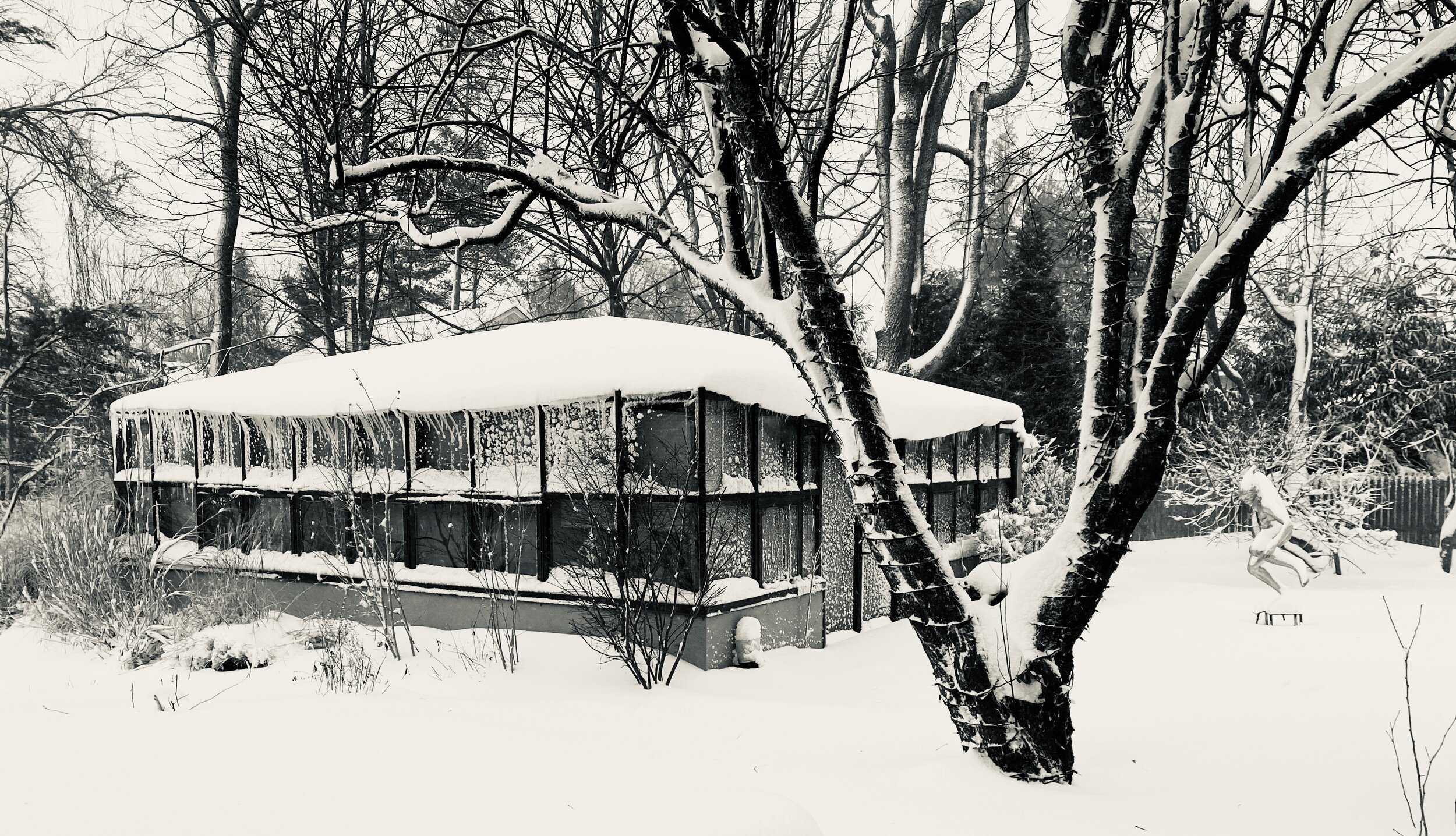  Bob’s studio in snowstorm-Rye,NY. Jan 2021 