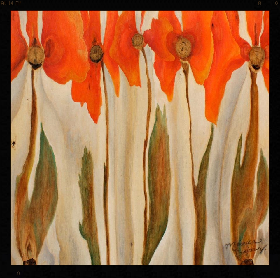 Amapolas.jpg
