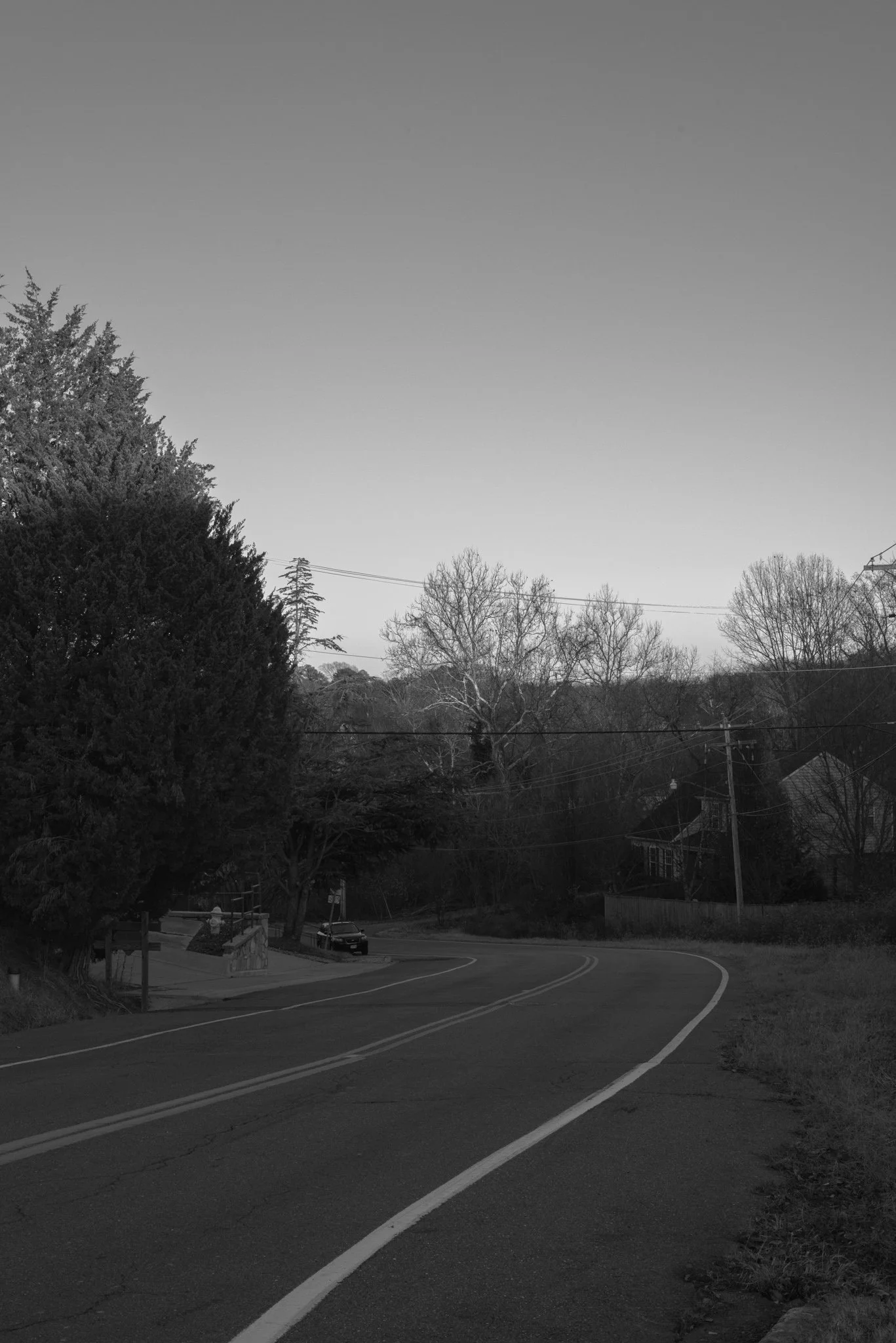 DCQ_6567.jpg