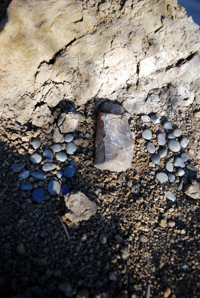 A week later, we discovered that the Squirrel's grave had been visited by grave-robbers.