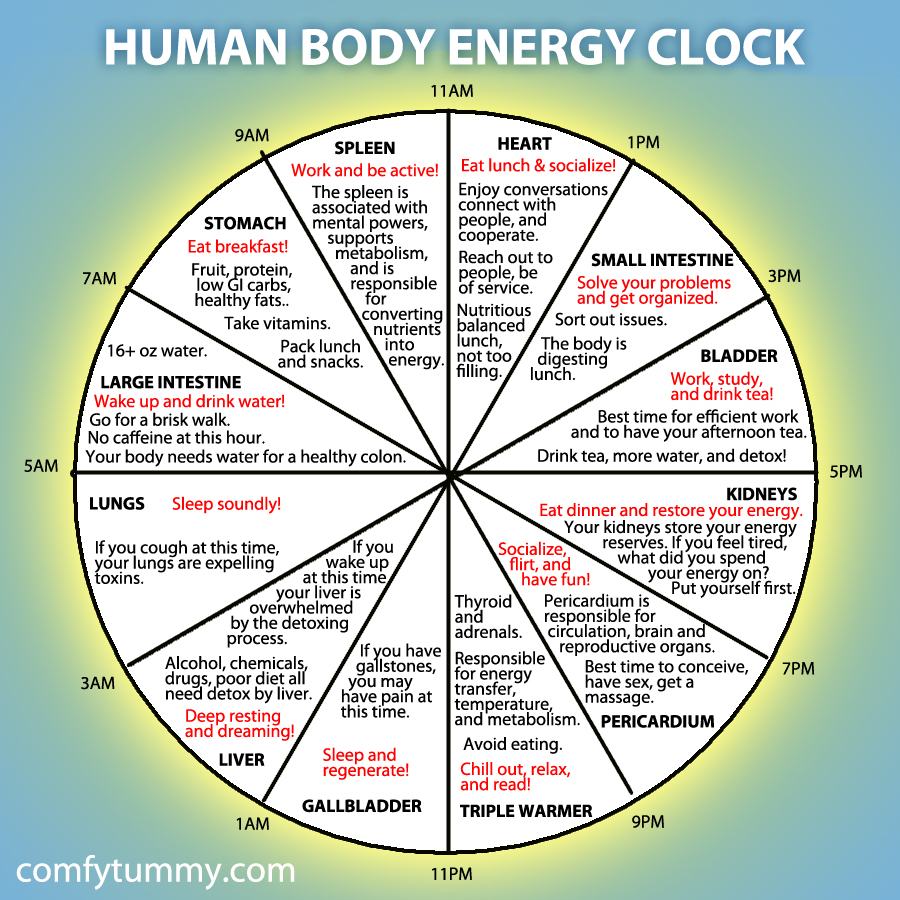 Human Body Energy Clock Lijiang Studio
