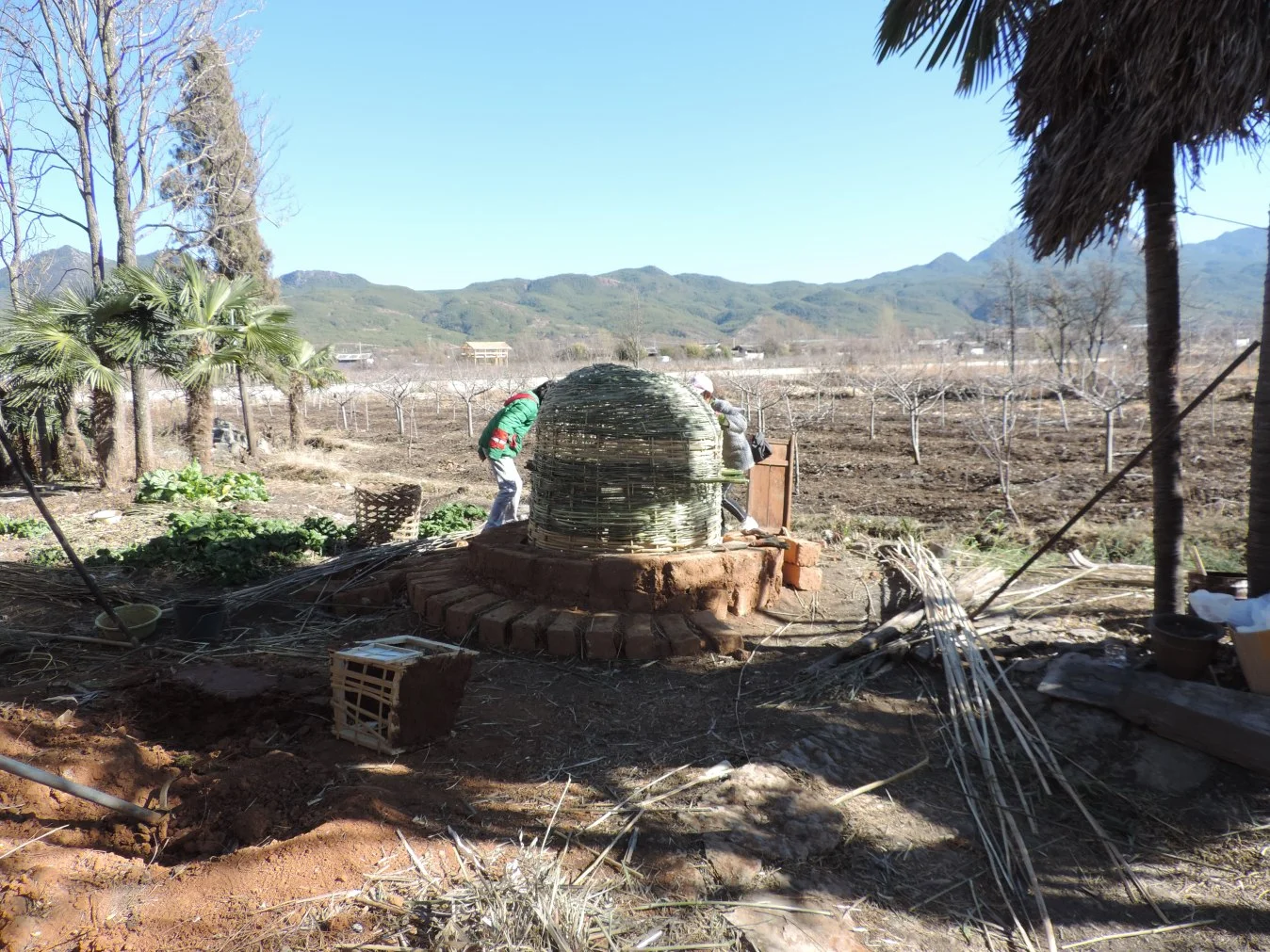 dscn8154.jpg