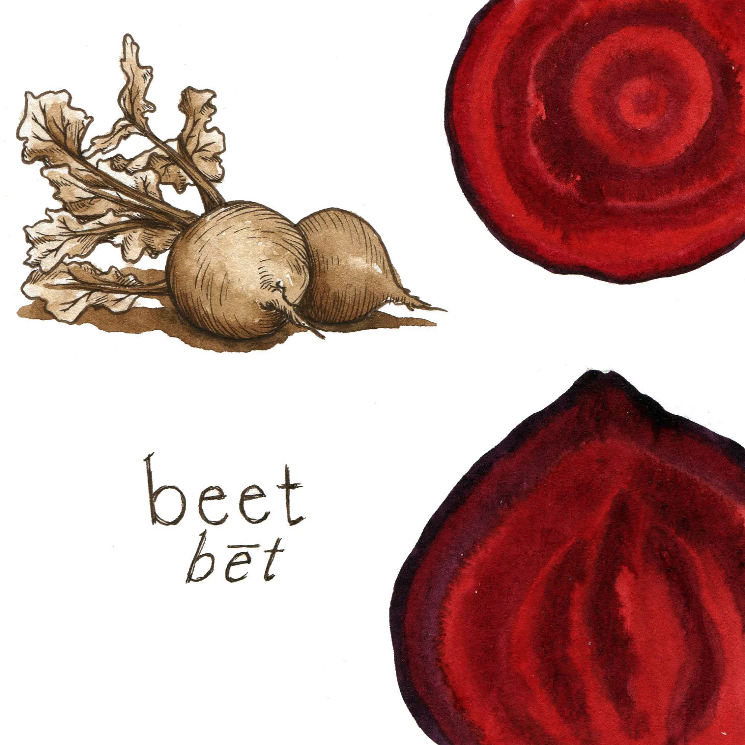 Beets