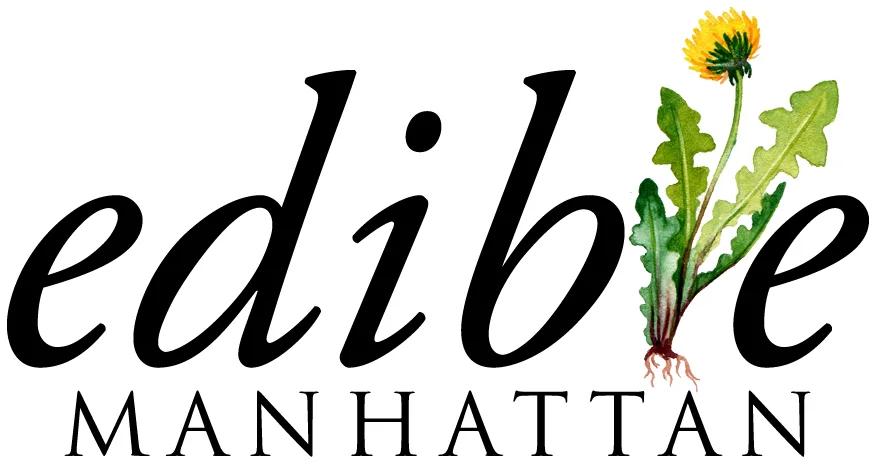 Dandelion-EMAN-logo.jpg