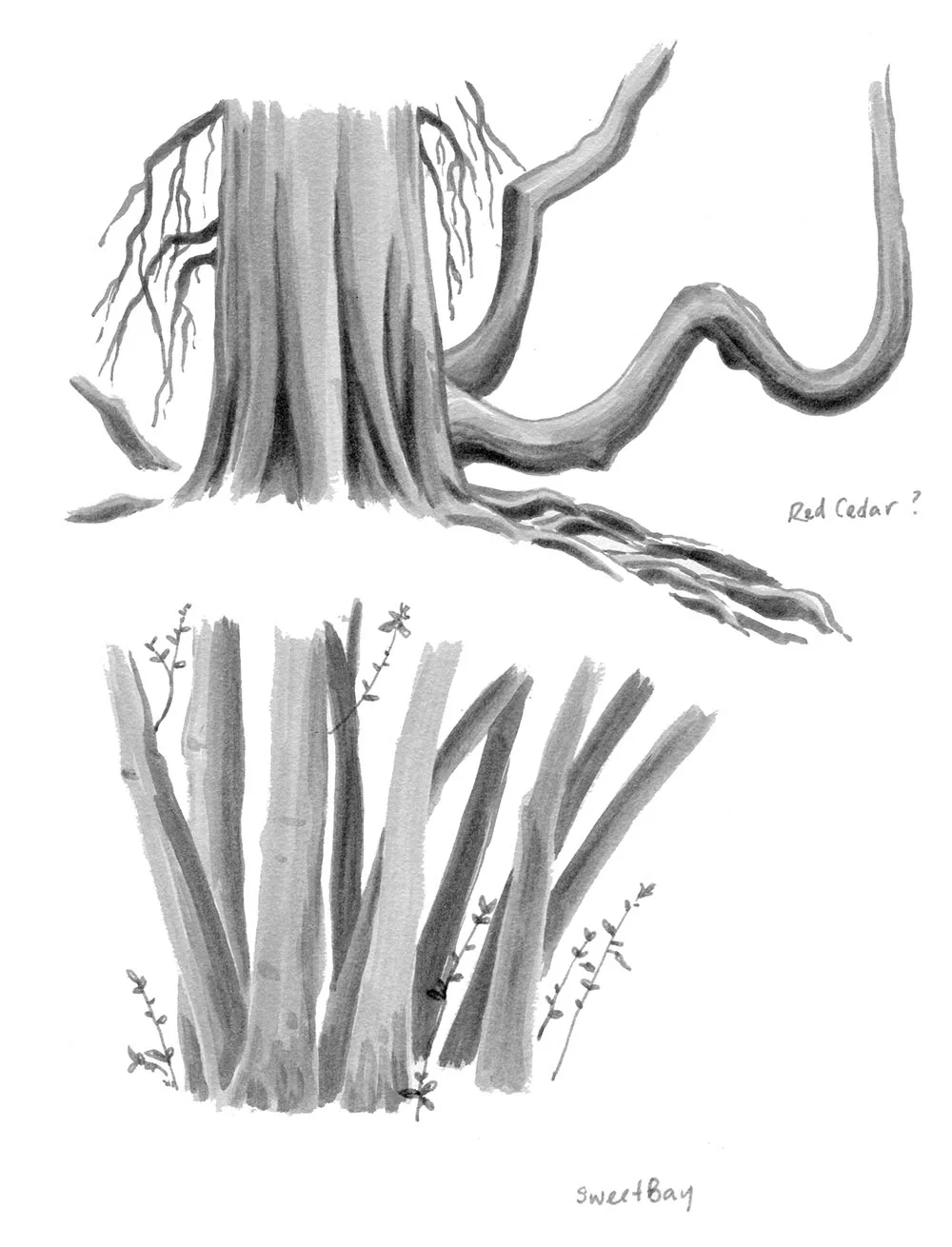 Arboretum2-small.jpg