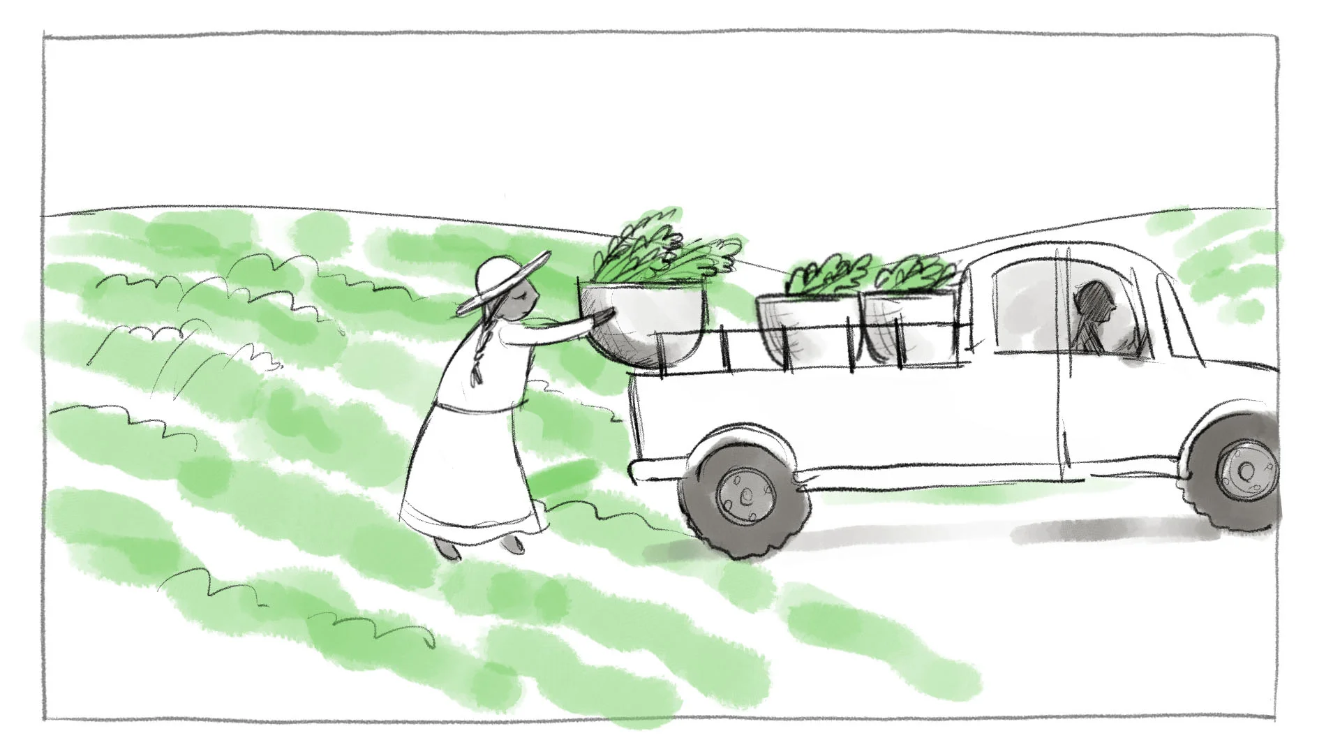 Shahidi_Storyboards_3b-1.jpg