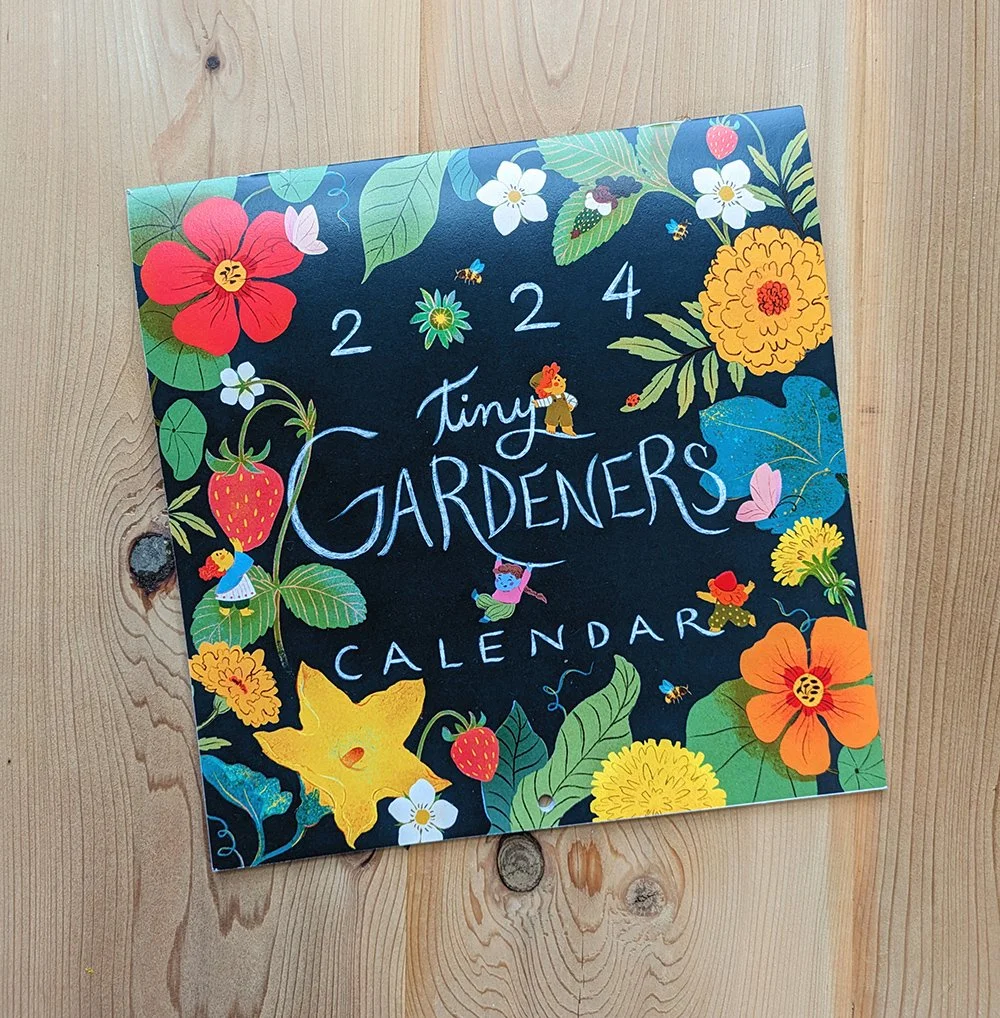 How to Make a 12 Month Illustrated Calendar