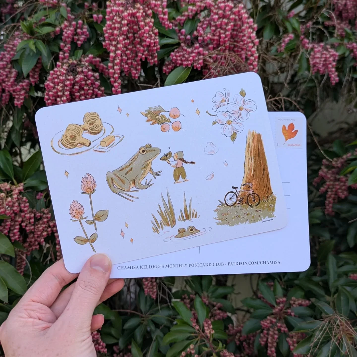 April's postcard club goes out this week! Want a pre-stamped seasonally-illustrated postcard in your mailbox each month? Join us at Patreon.com/chamisa 💌📬

#chamisakellogg #patreonartist #postcardclub