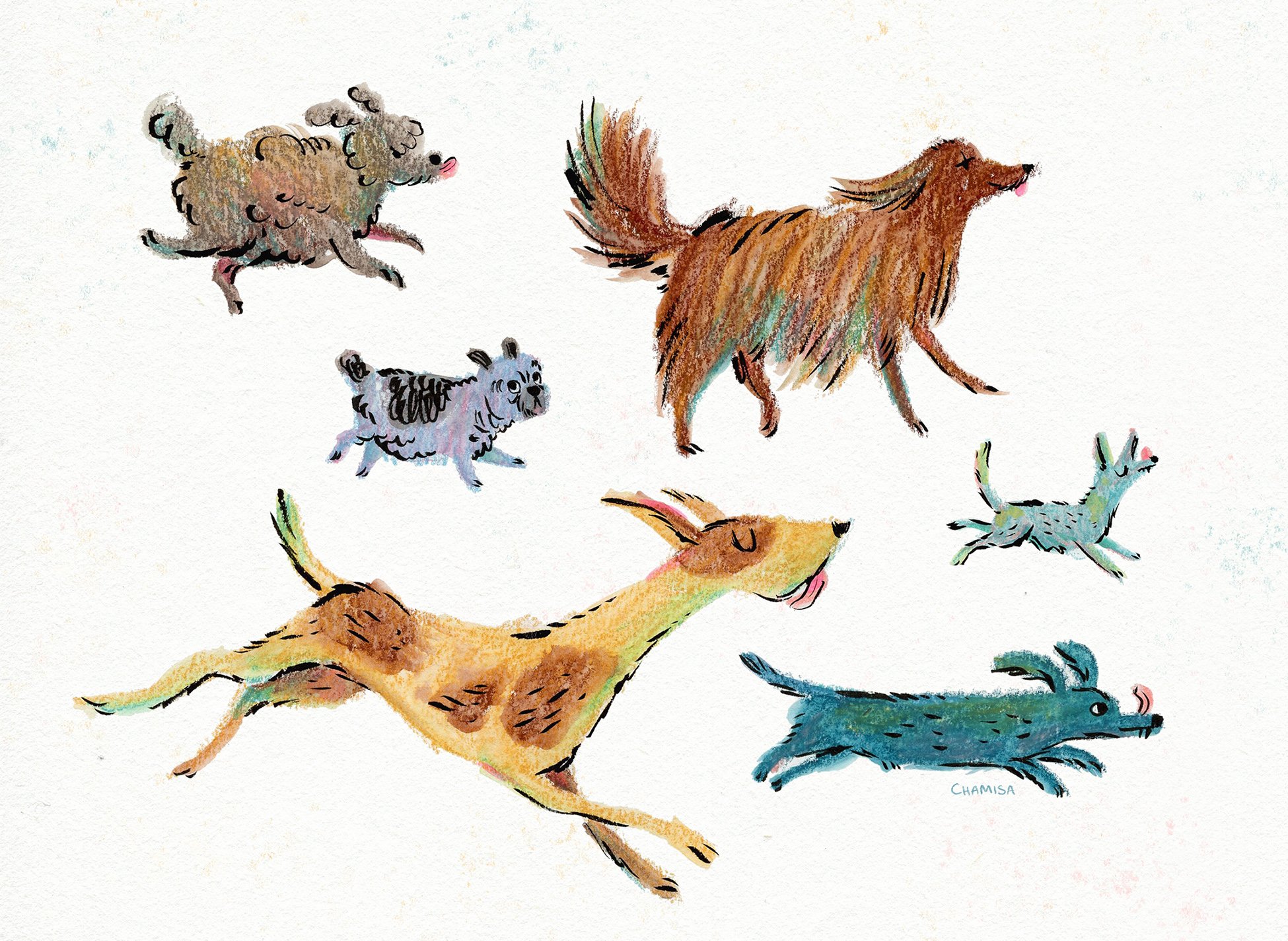 DogpackCardArt.jpg