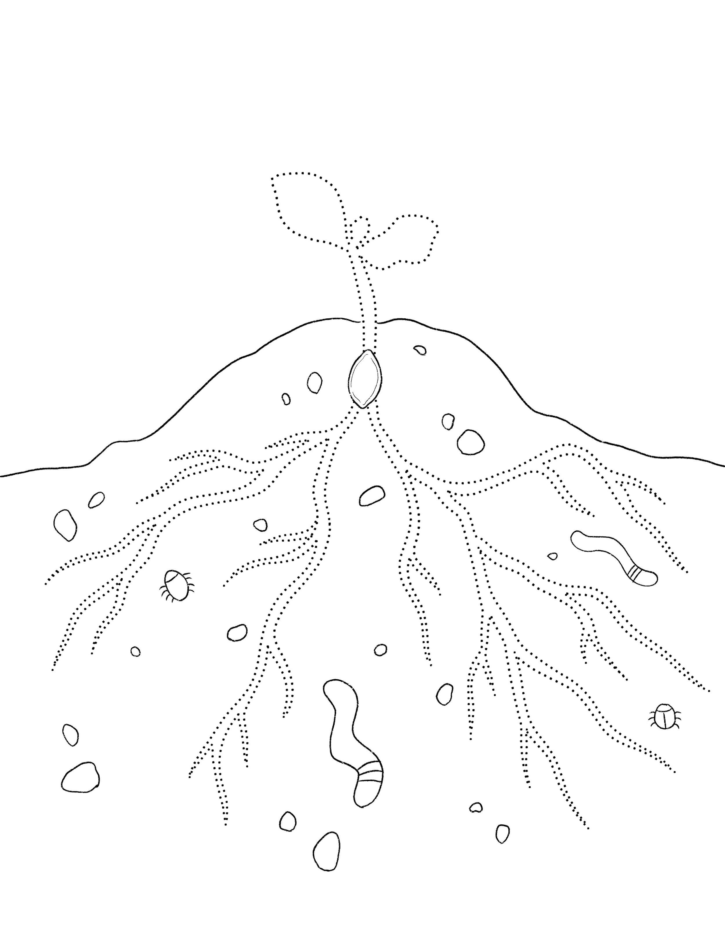 Activity_Sheets-coloringPage.jpg