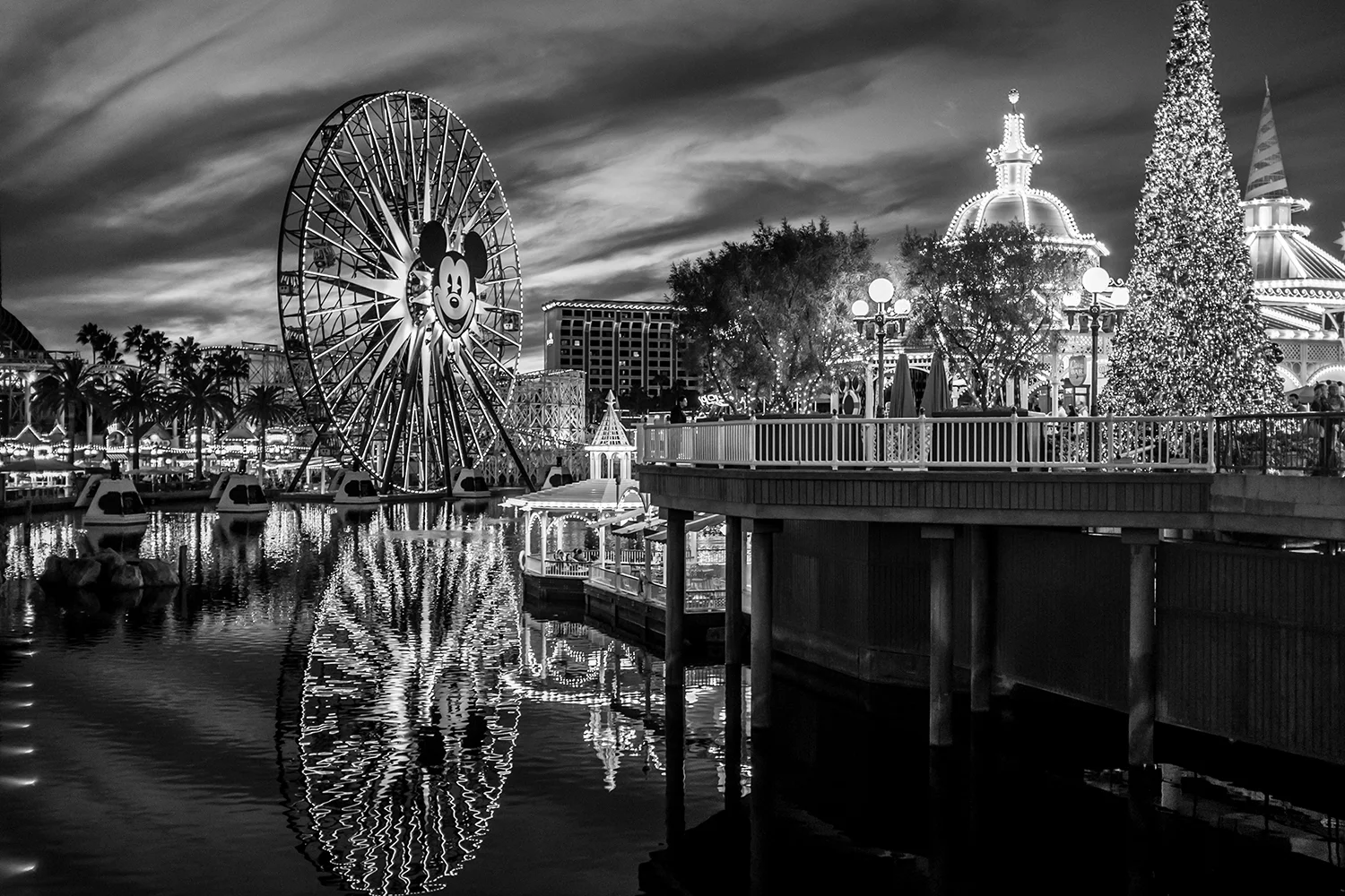 Patrick_Shipstad_Disneyland_C_2015_37.jpg