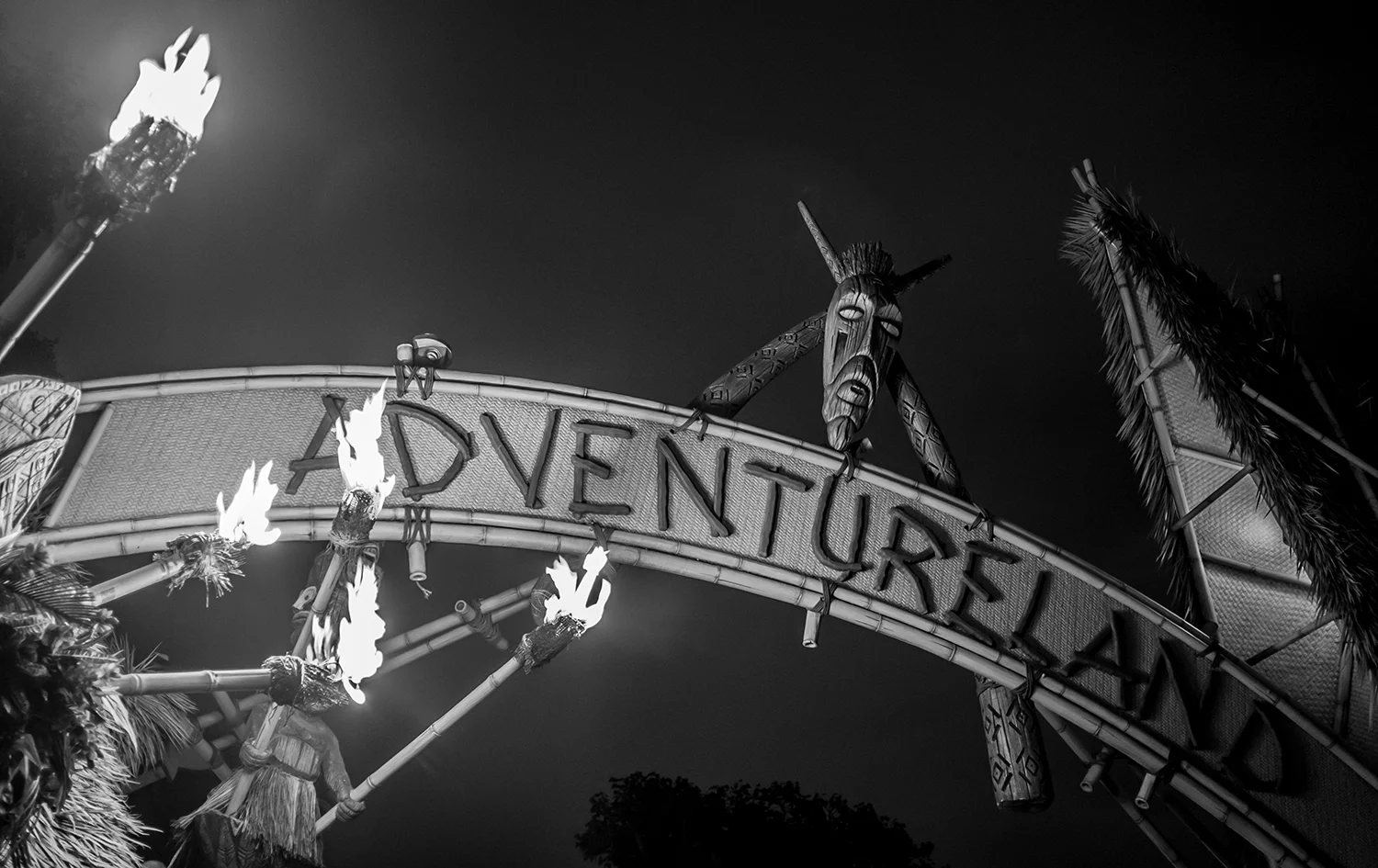 Patrick_Shipstad_Disneyland_C_2015_30.jpg