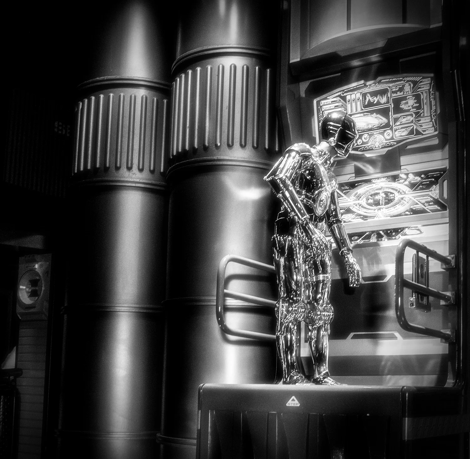 Patrick_Shipstad_Disneyland_C_2015_17.jpg