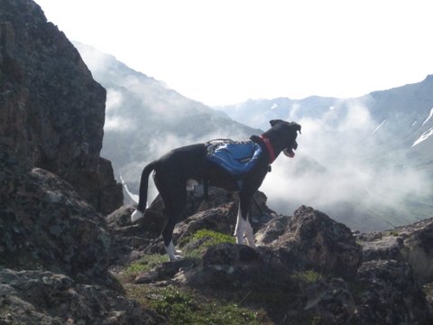 Flattop with Tricky 039.jpg