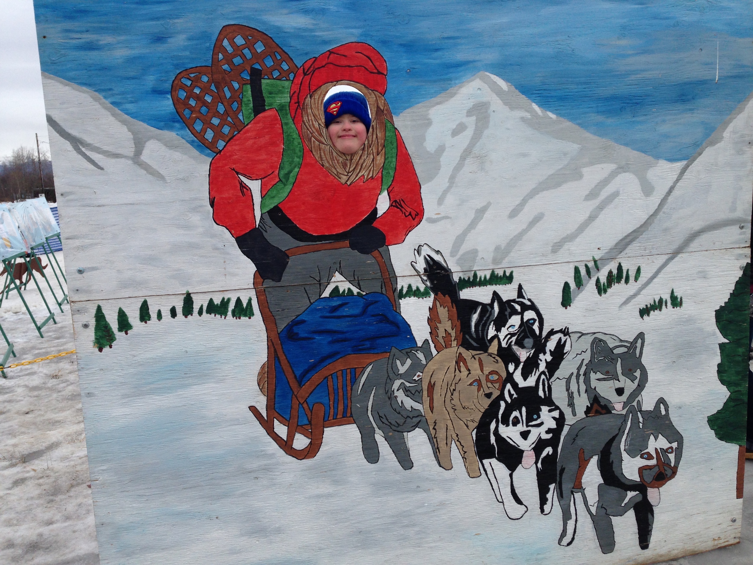 Lindsey the Mini Musher!