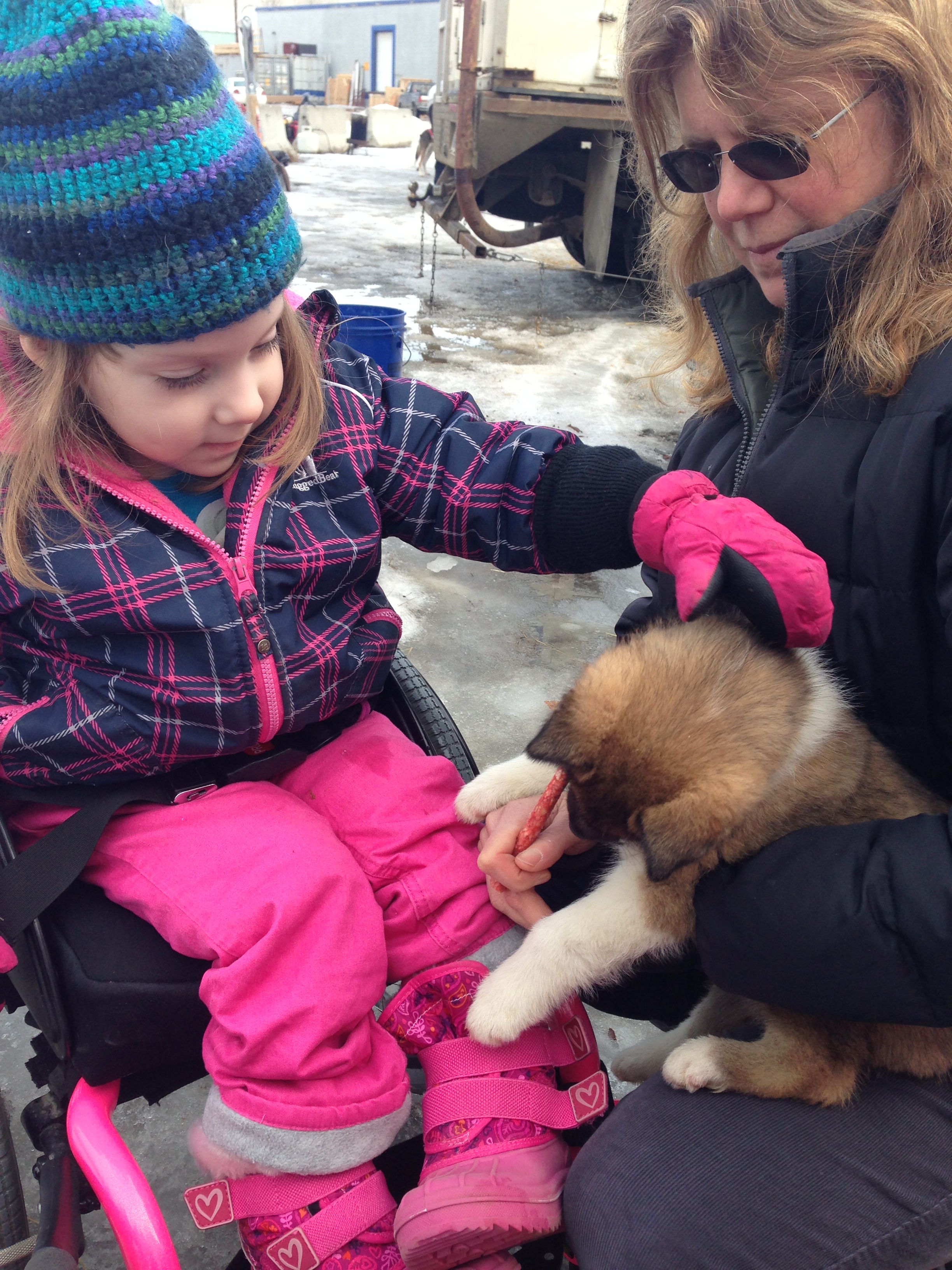 Everyone loves puppies!
