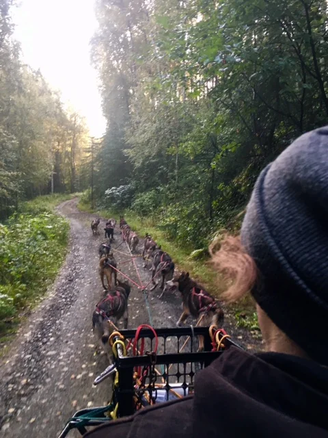 A Squirrel's Lessons: What I Learned in a Month at Bacon's Acres